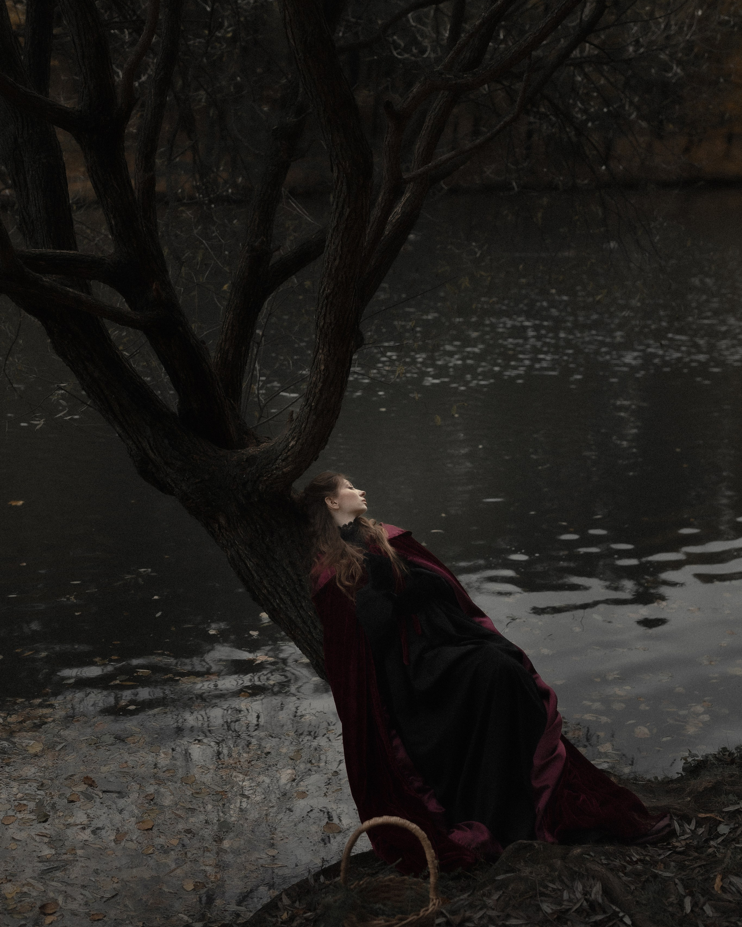 «Таинственная травница»