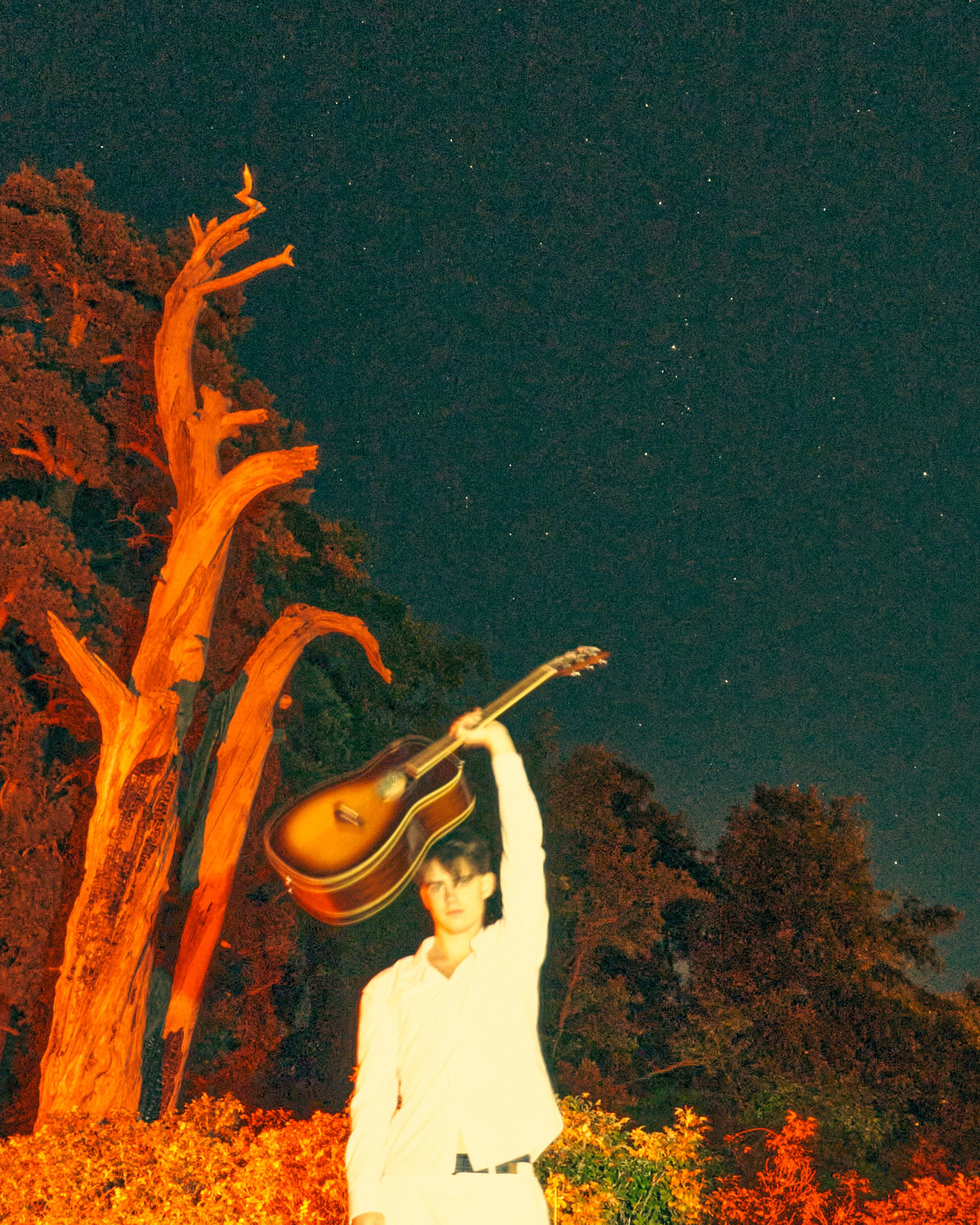 Группа Натура