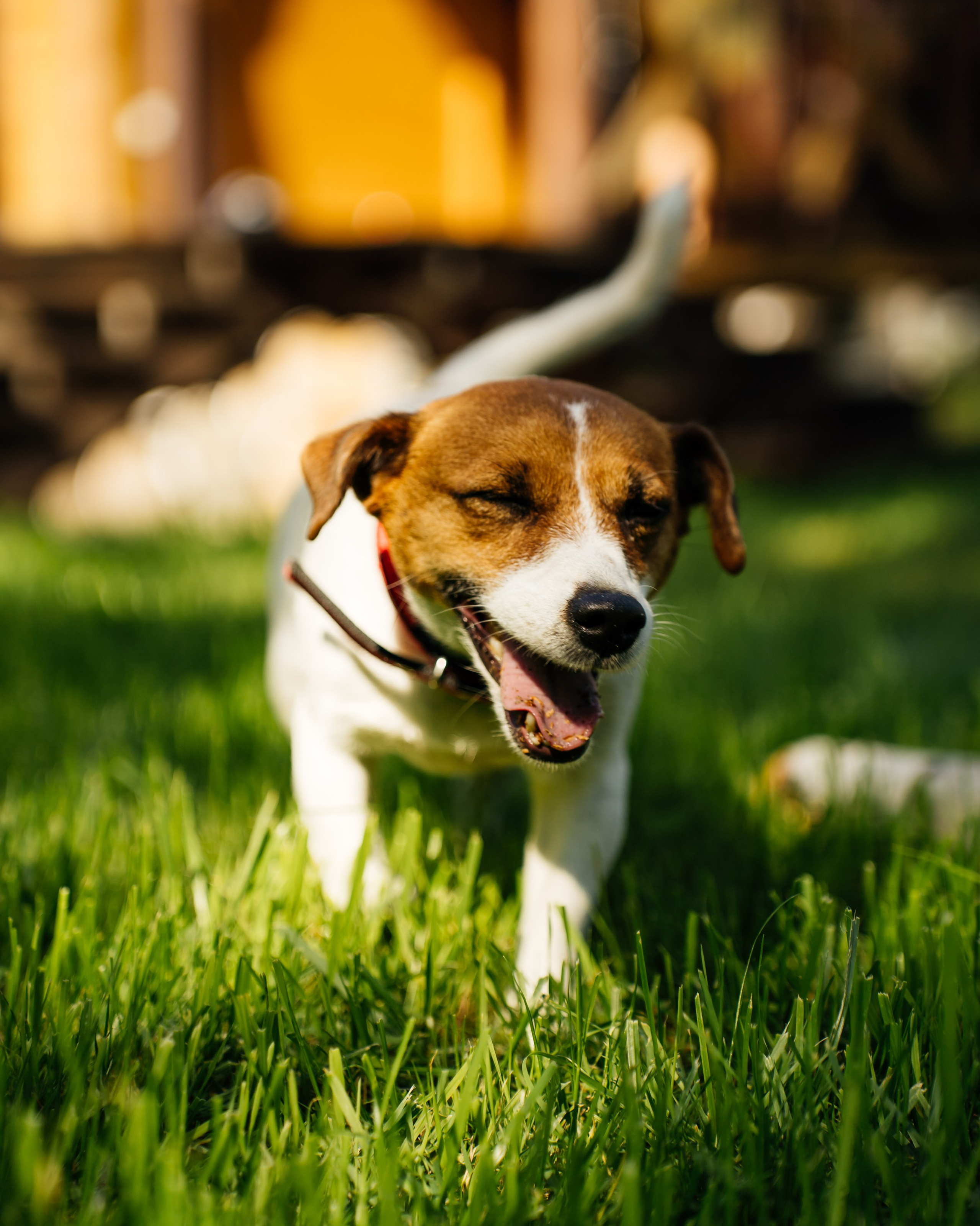 Weekend with friends