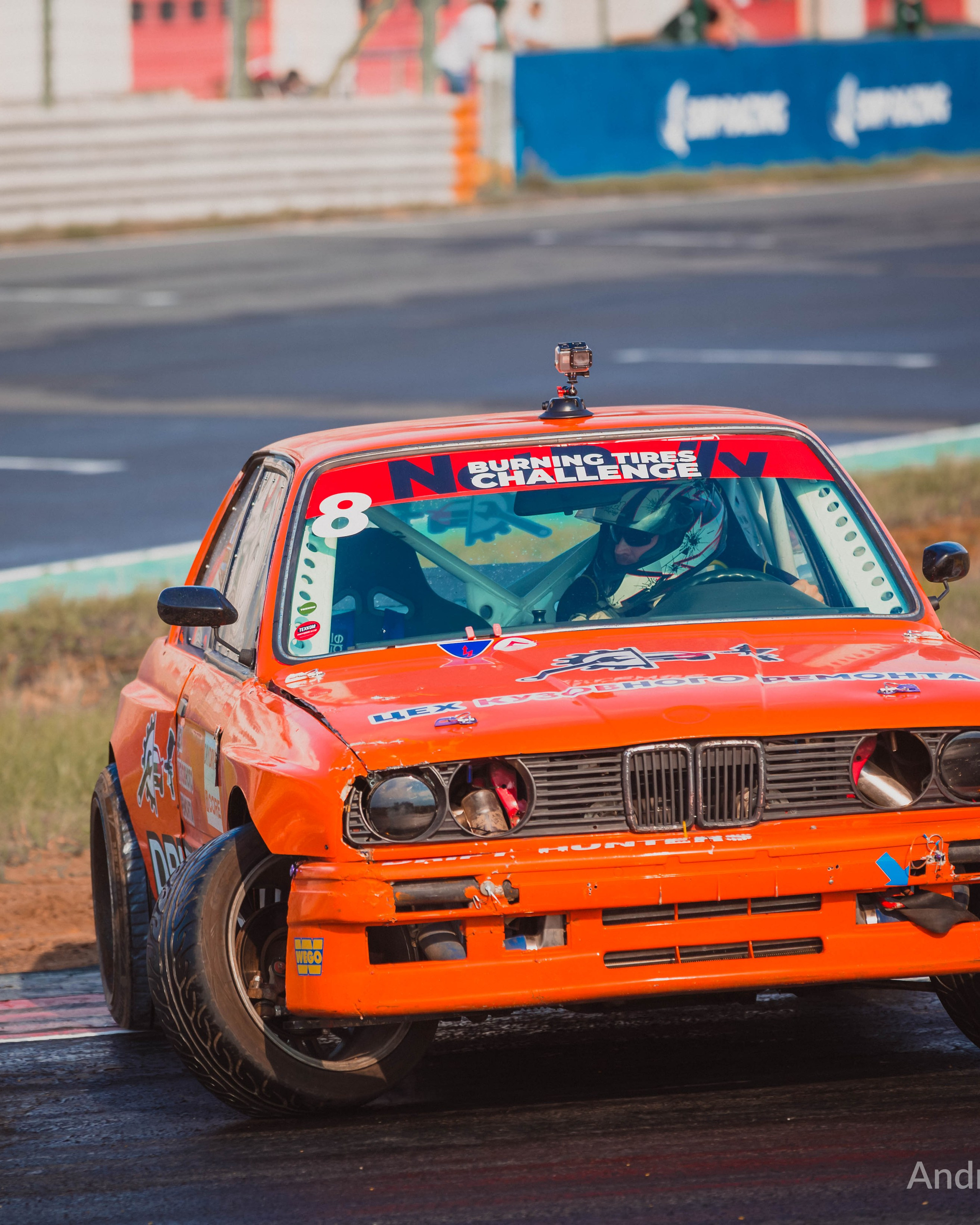 NotDaily — Летний сезон