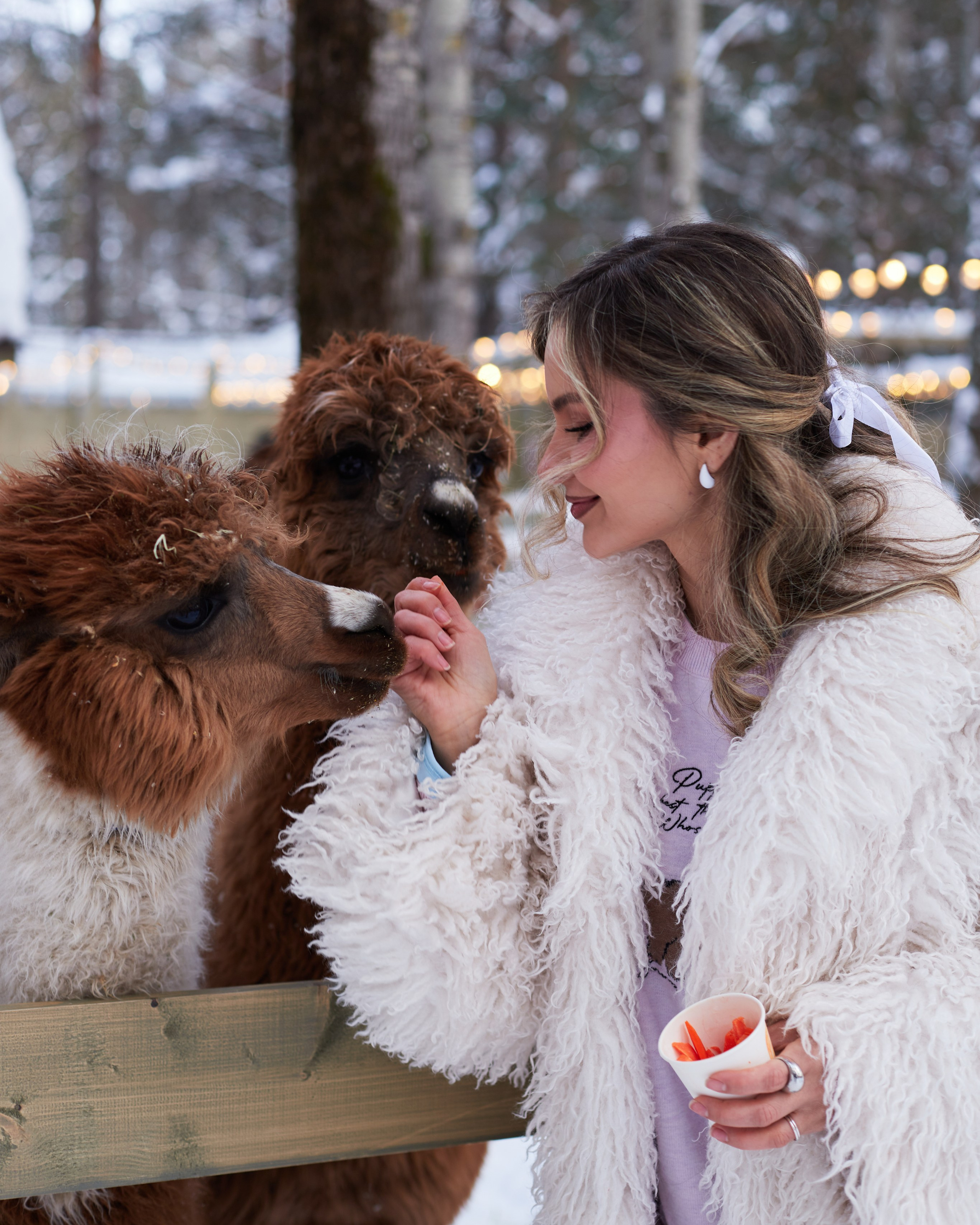 Альпака парк «Симба»