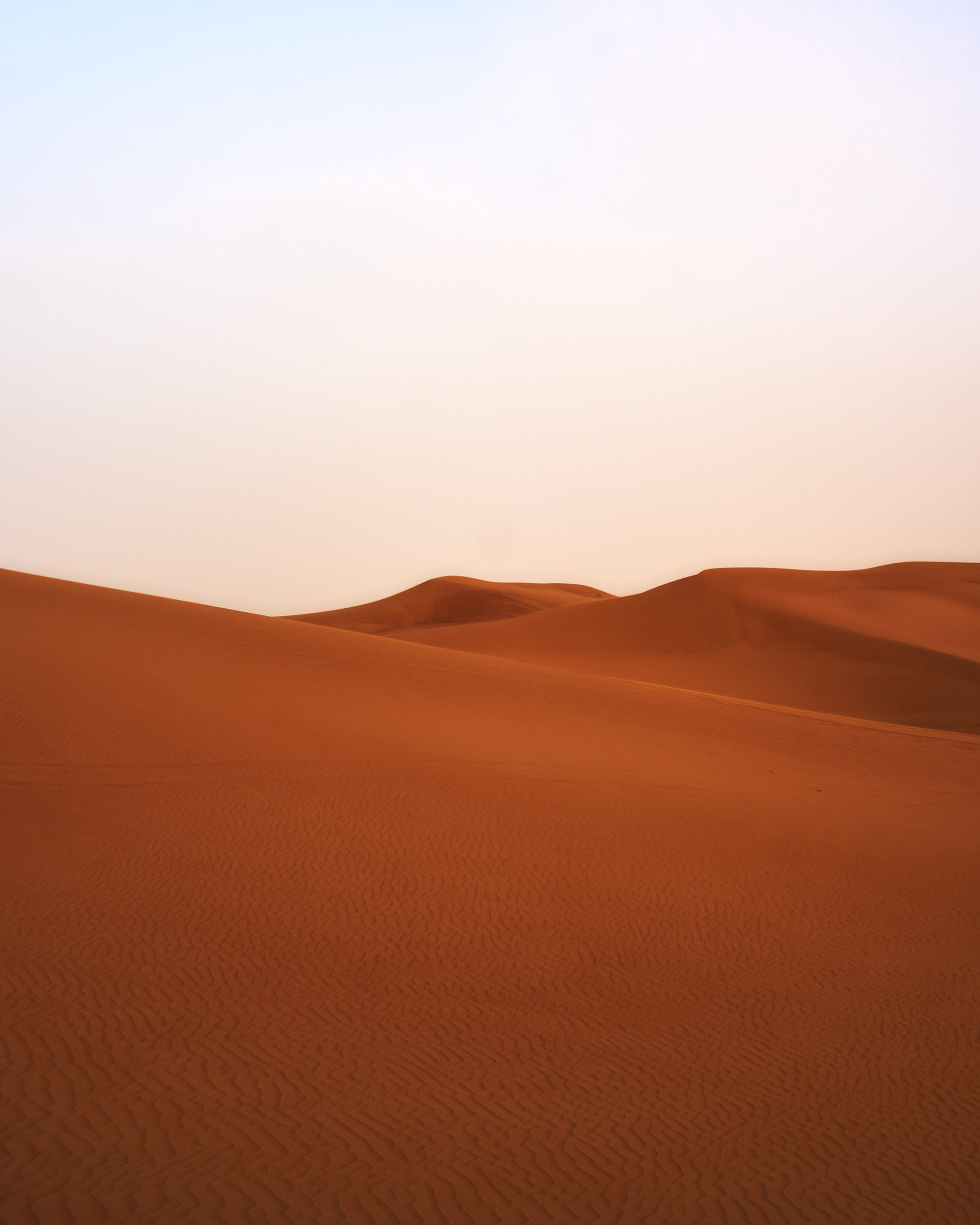 Объединённые Арабские Эмираты | 2024