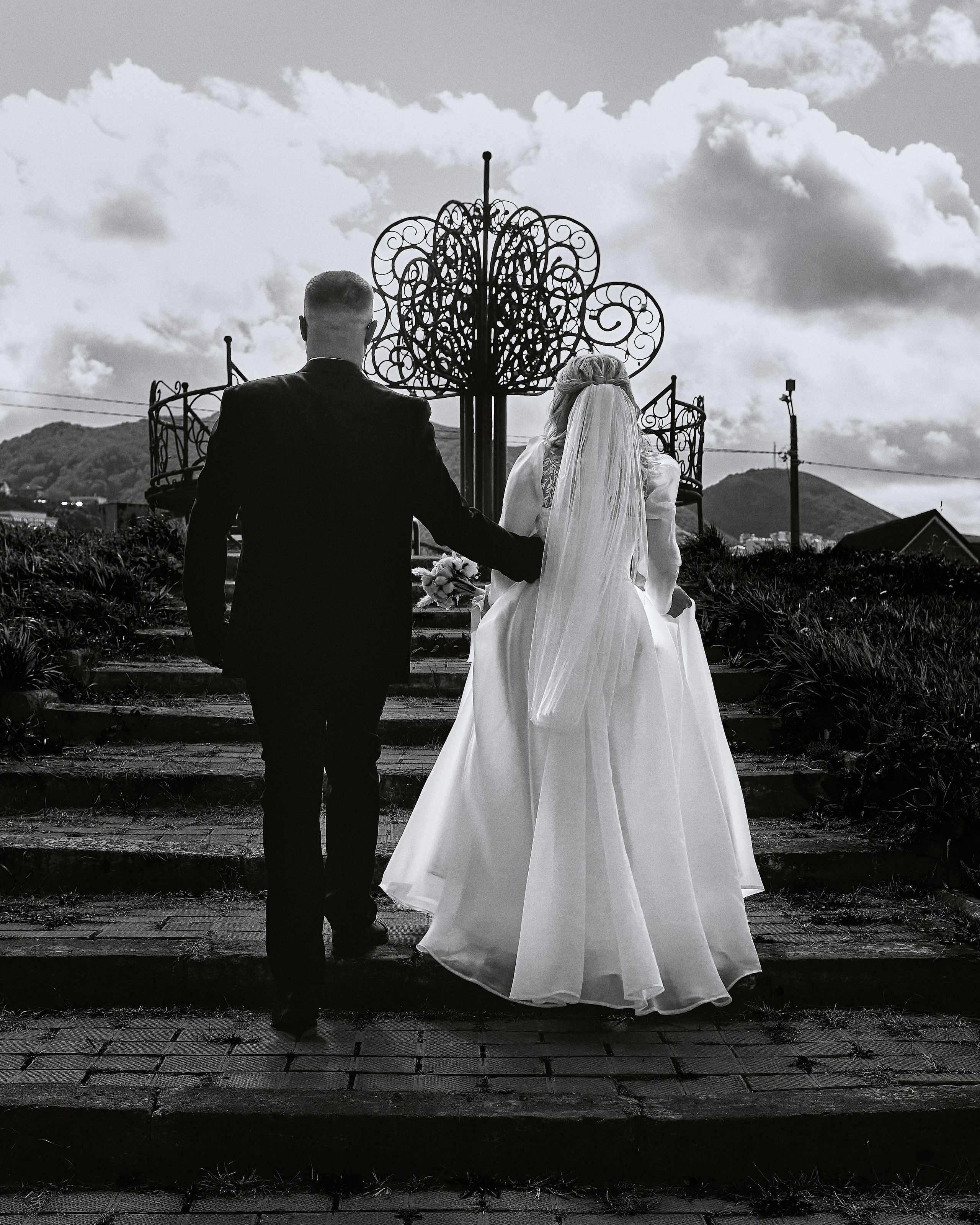 Летний бриз