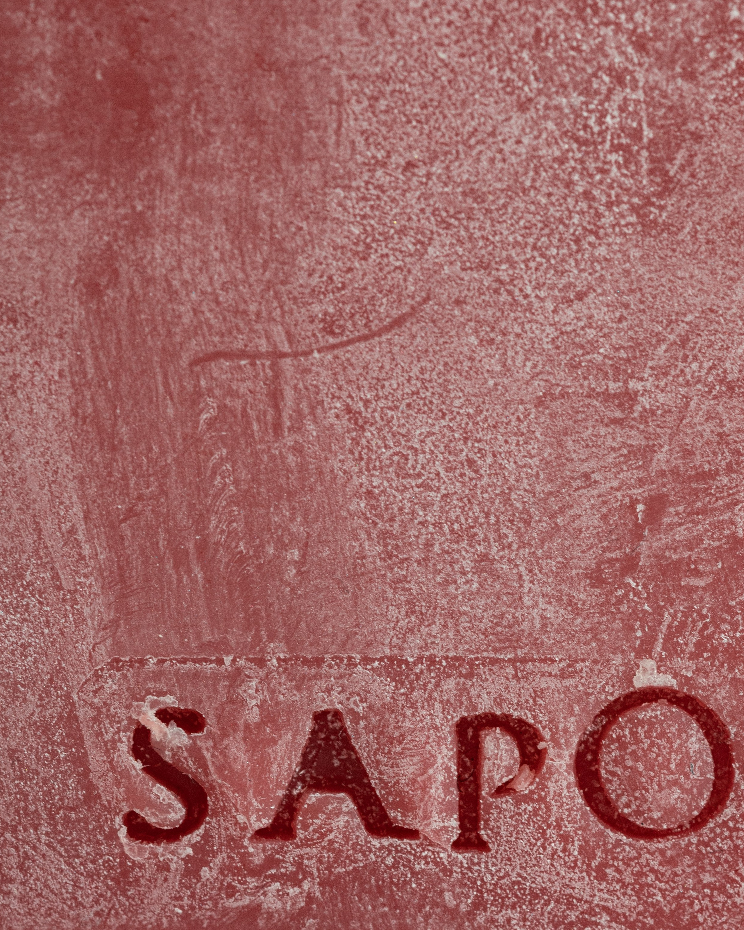 SAPO catalog