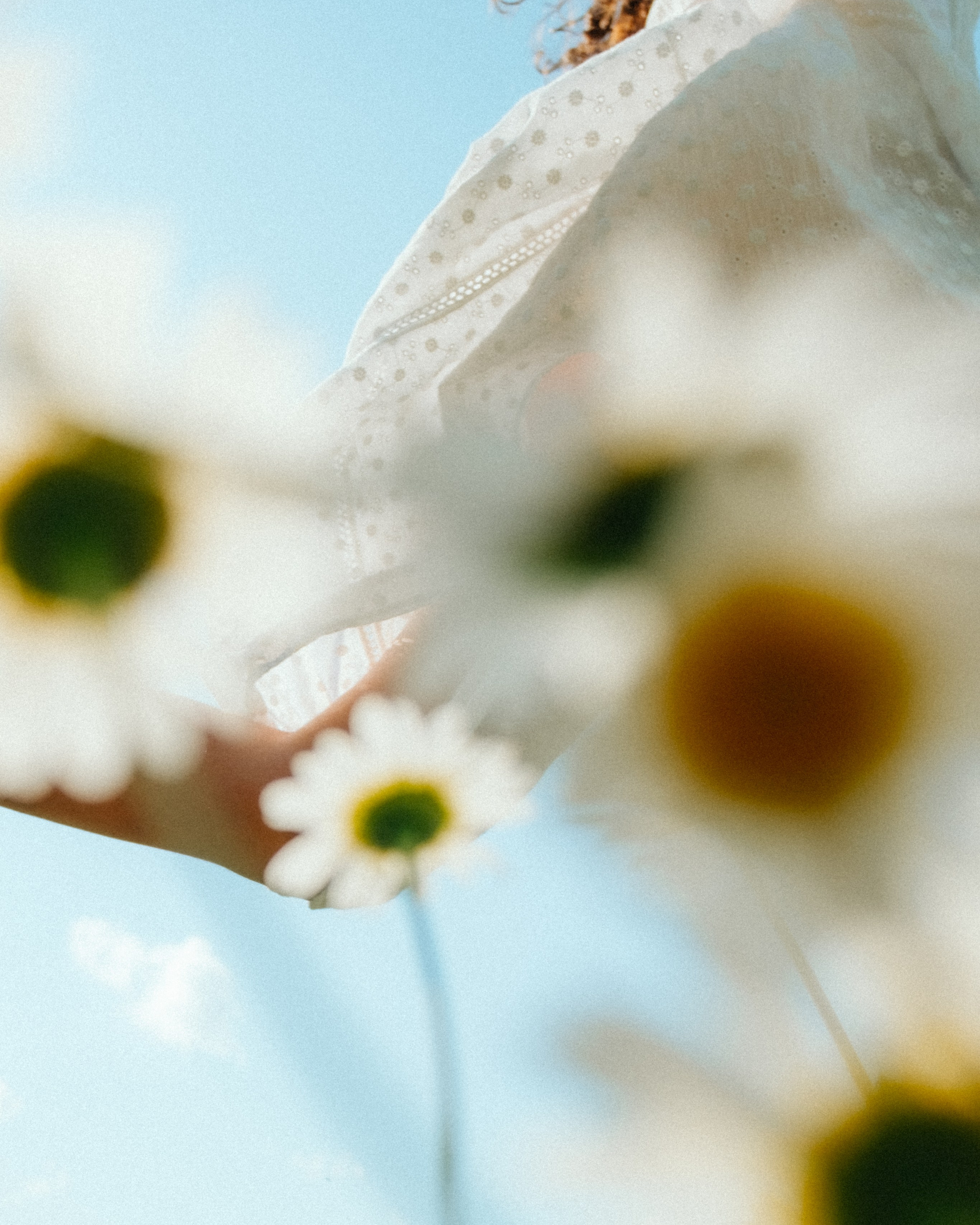 Ромашковые вершины