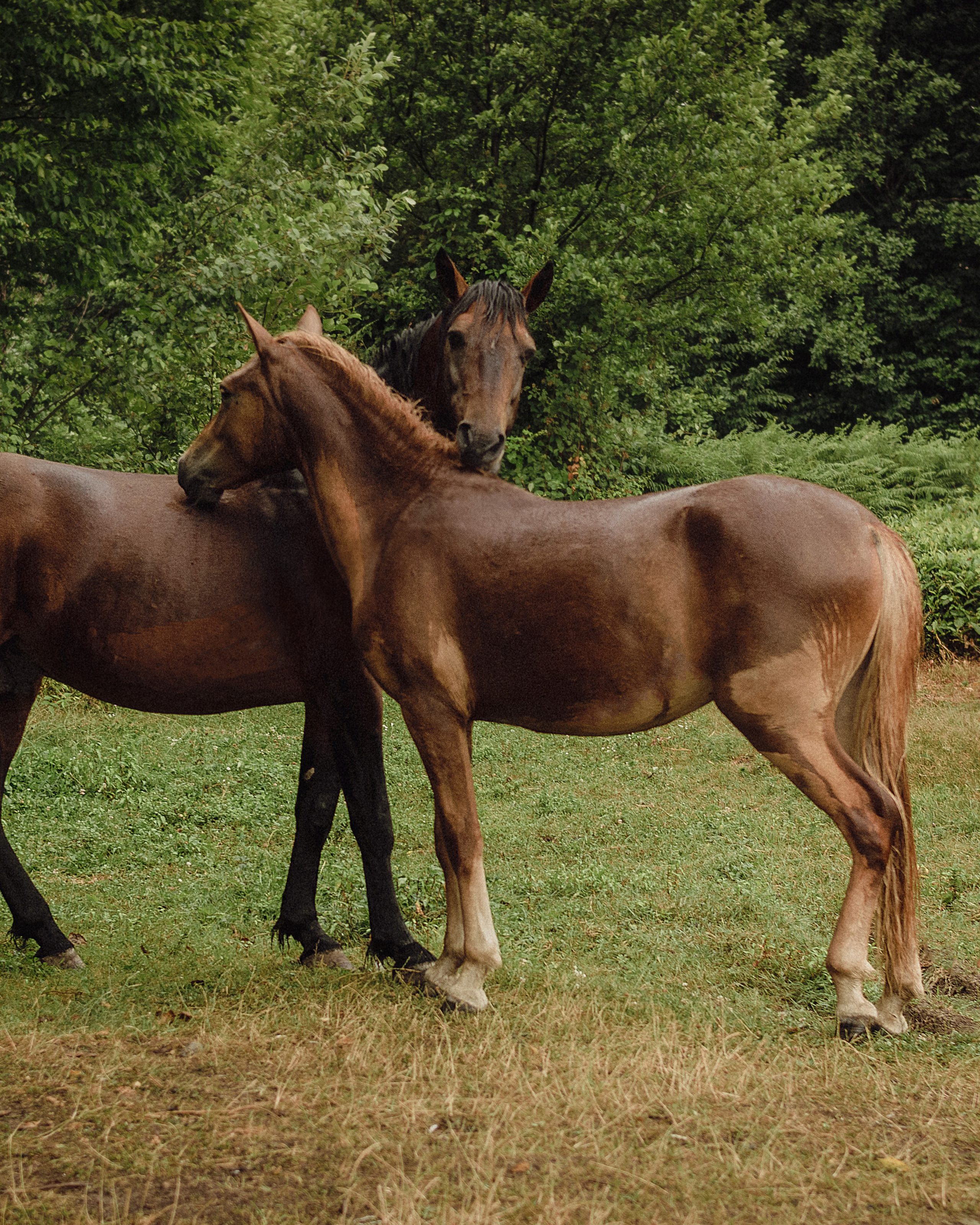 love Story в Сочи