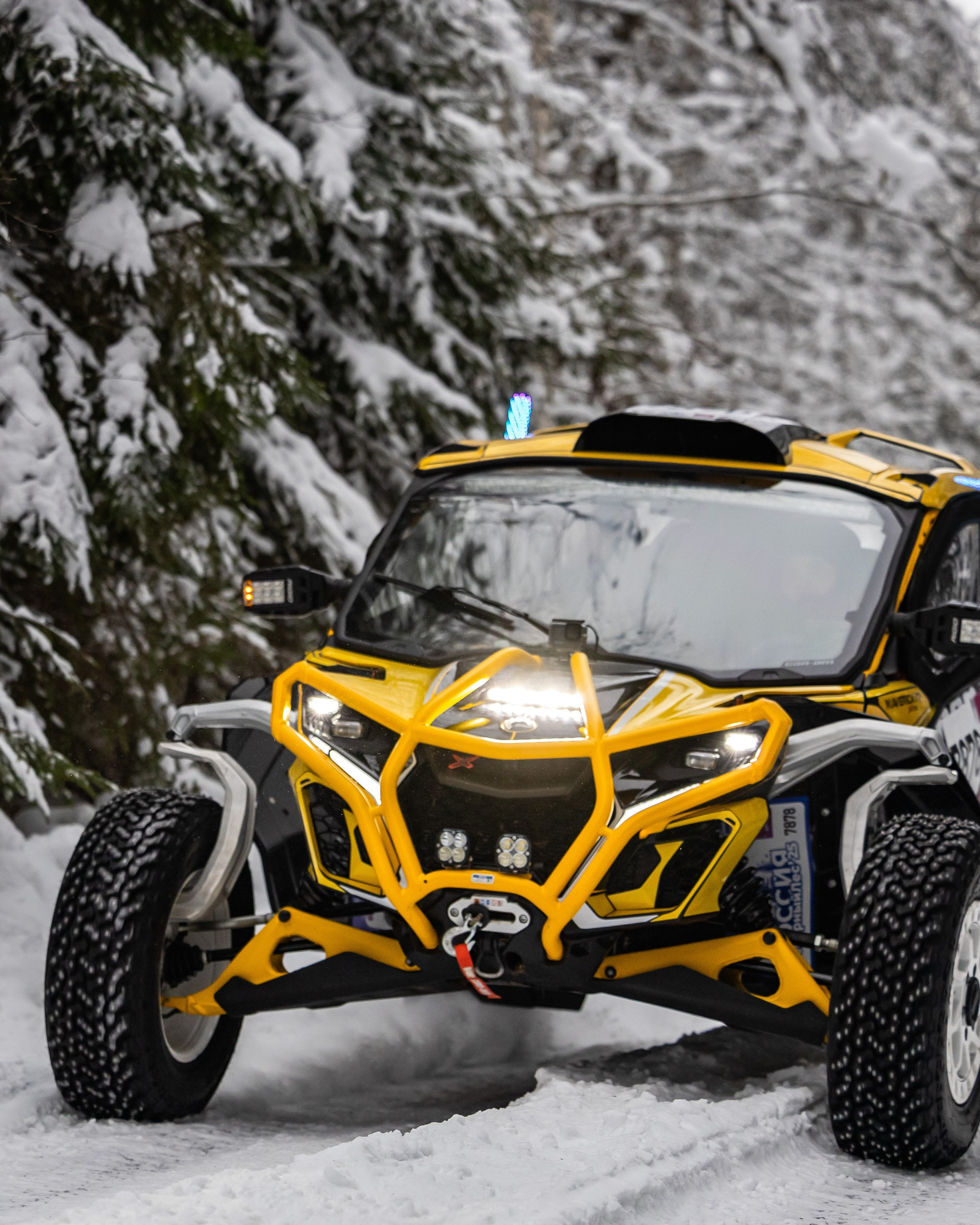 Команда PRO БАГГИ СеверныйЛес'25