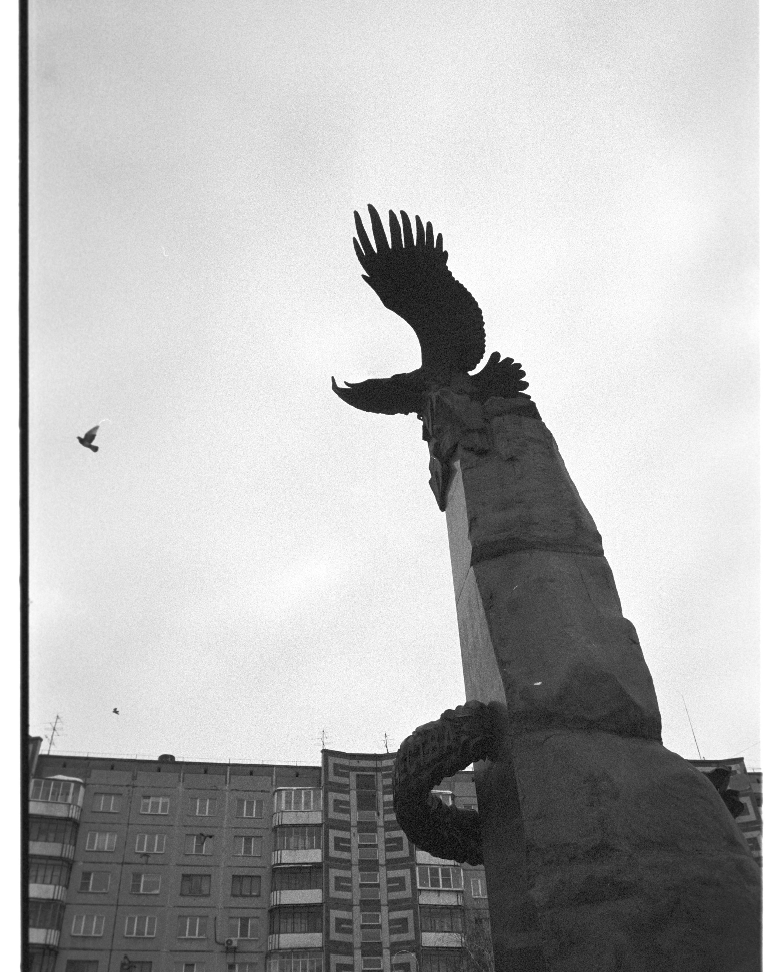 свобода (нет)