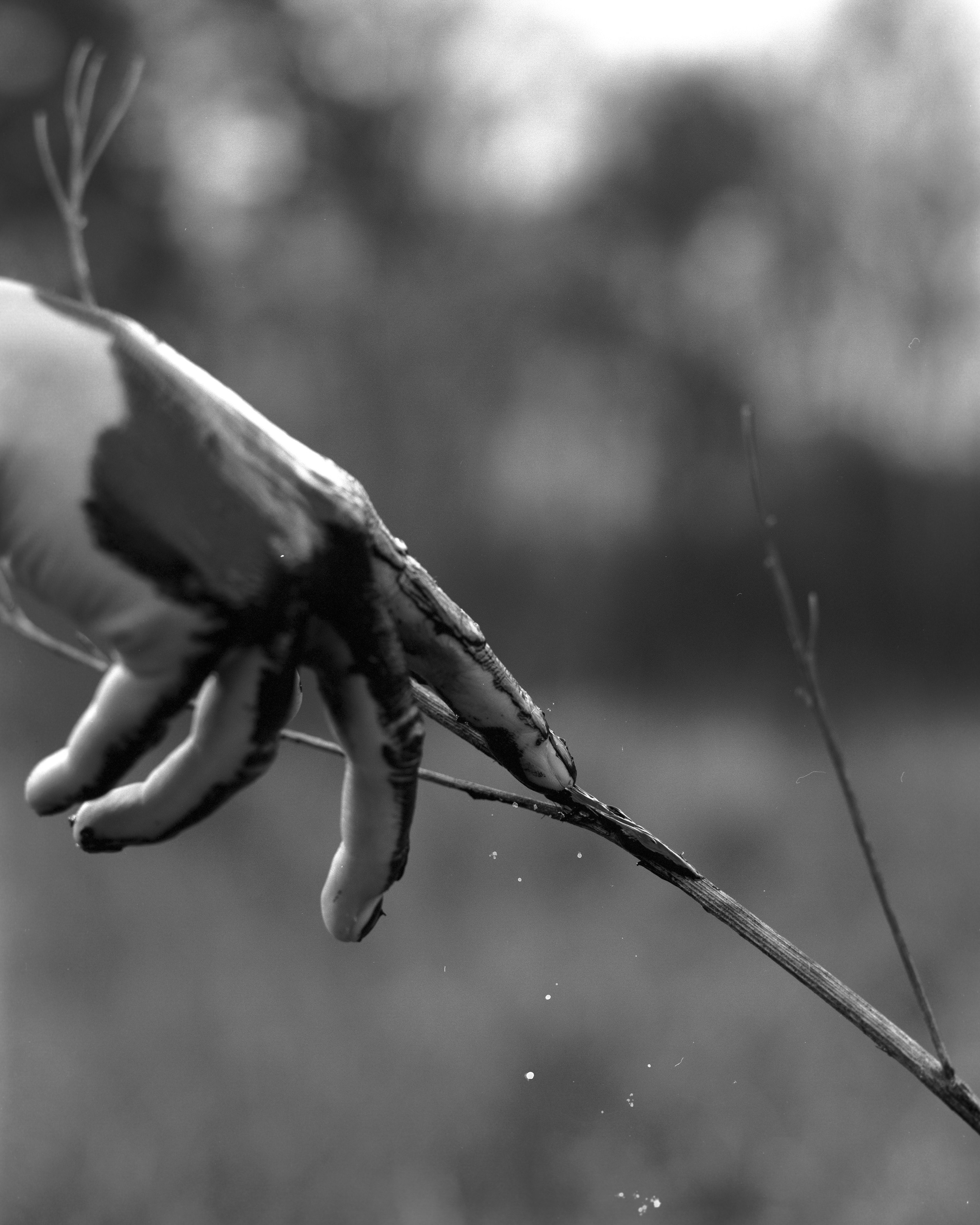 прикосновение