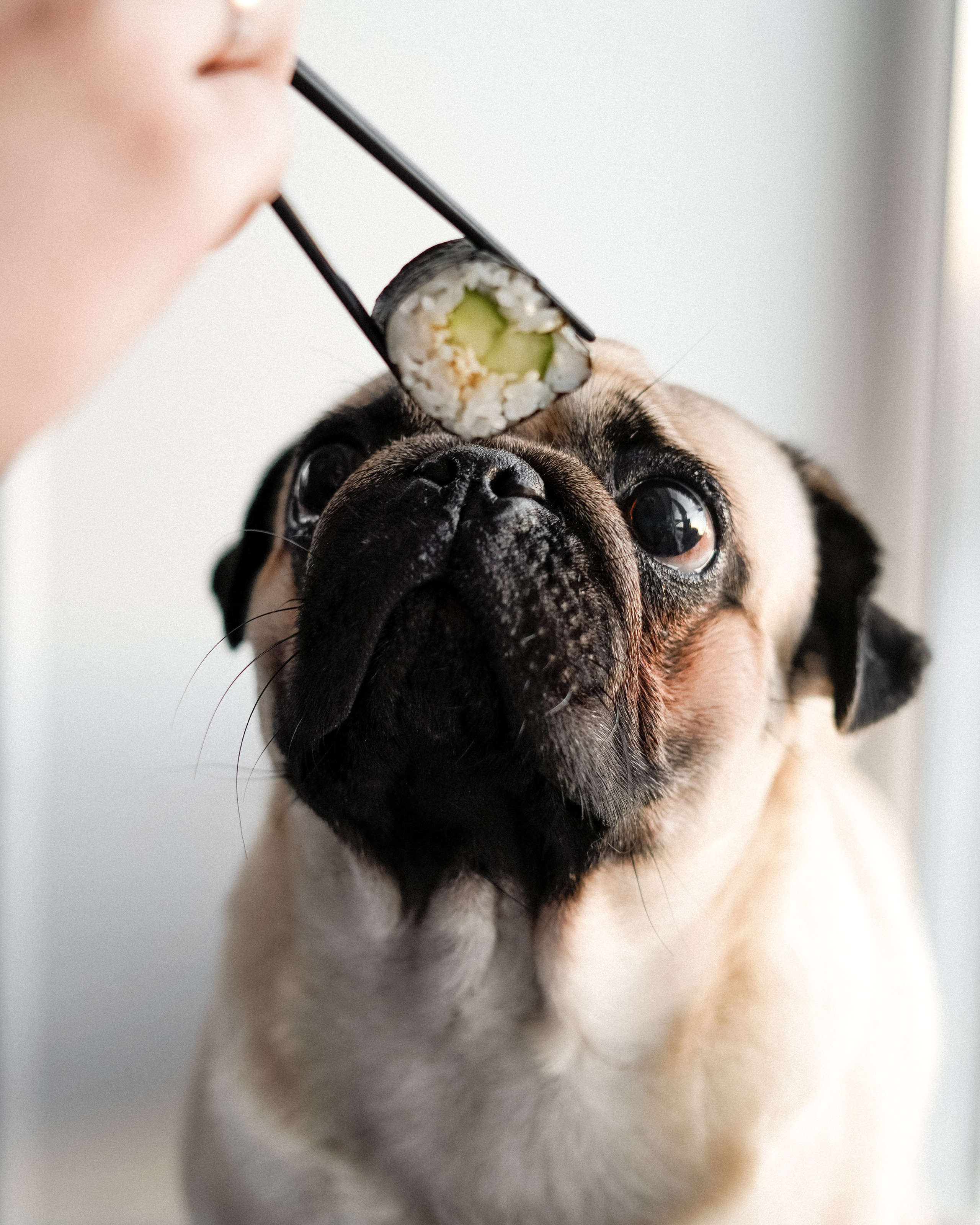 Доставка суши Stereo sushi