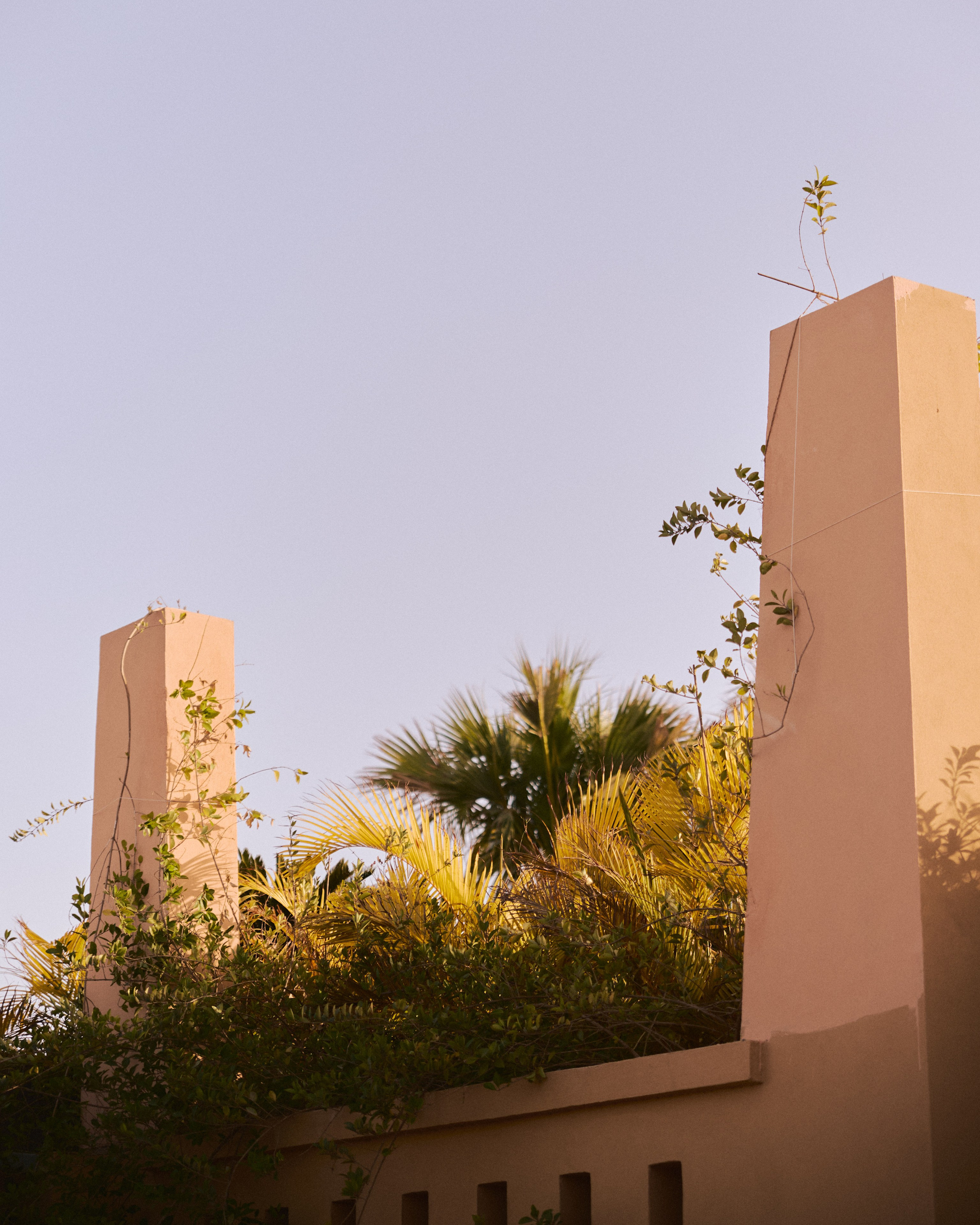 природа сквозь