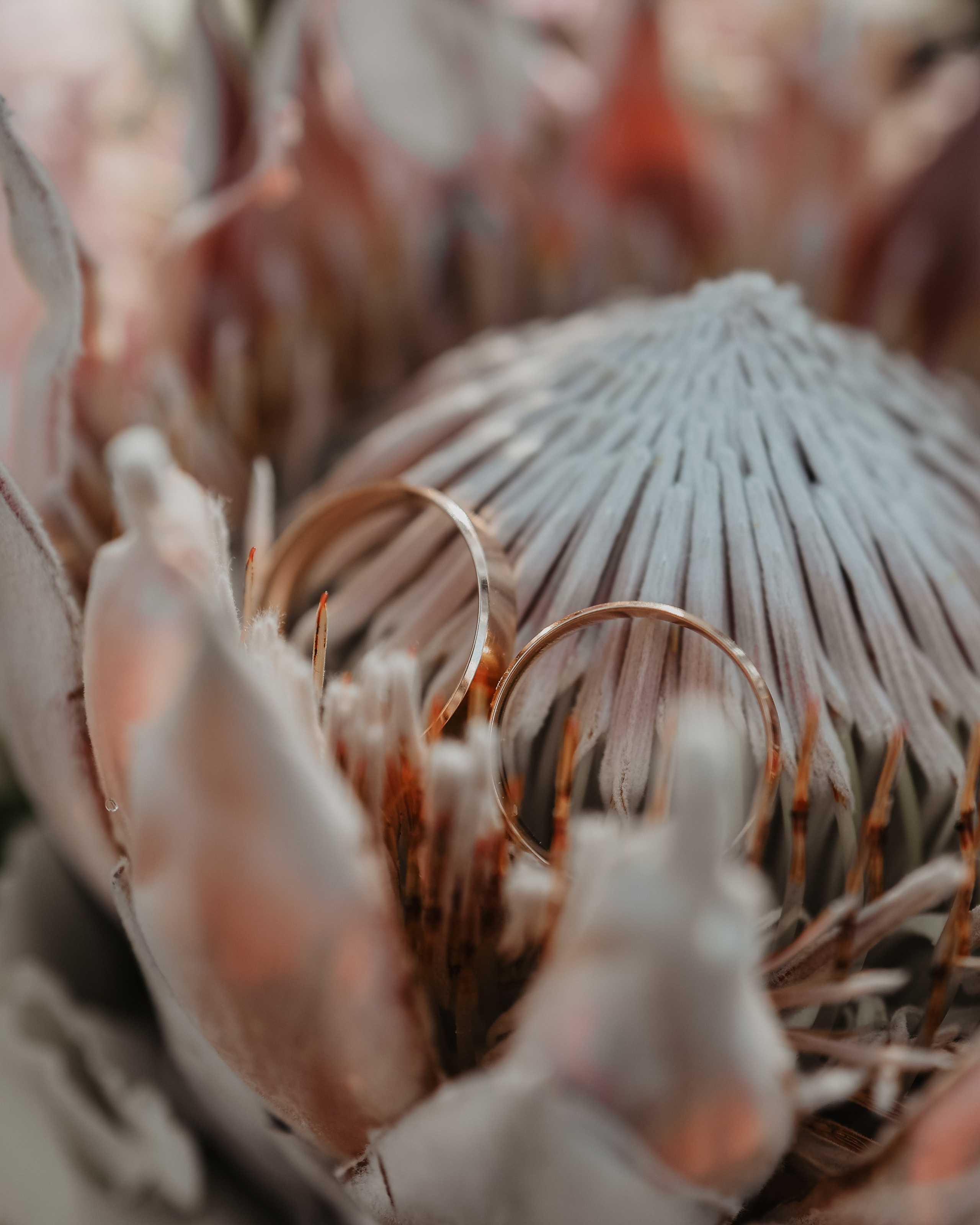 Константин и&nbsp;Полина