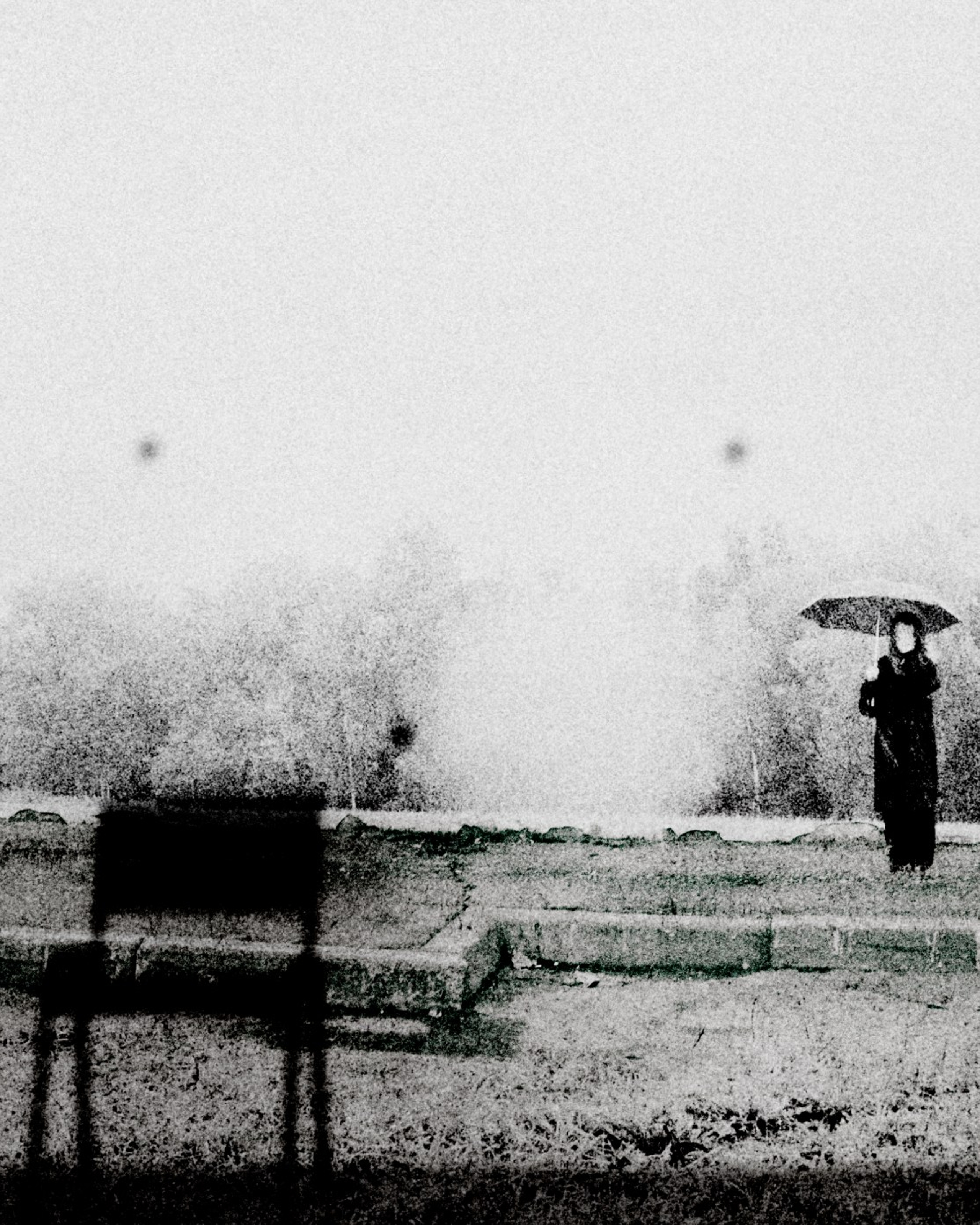 VISITOR (2026)