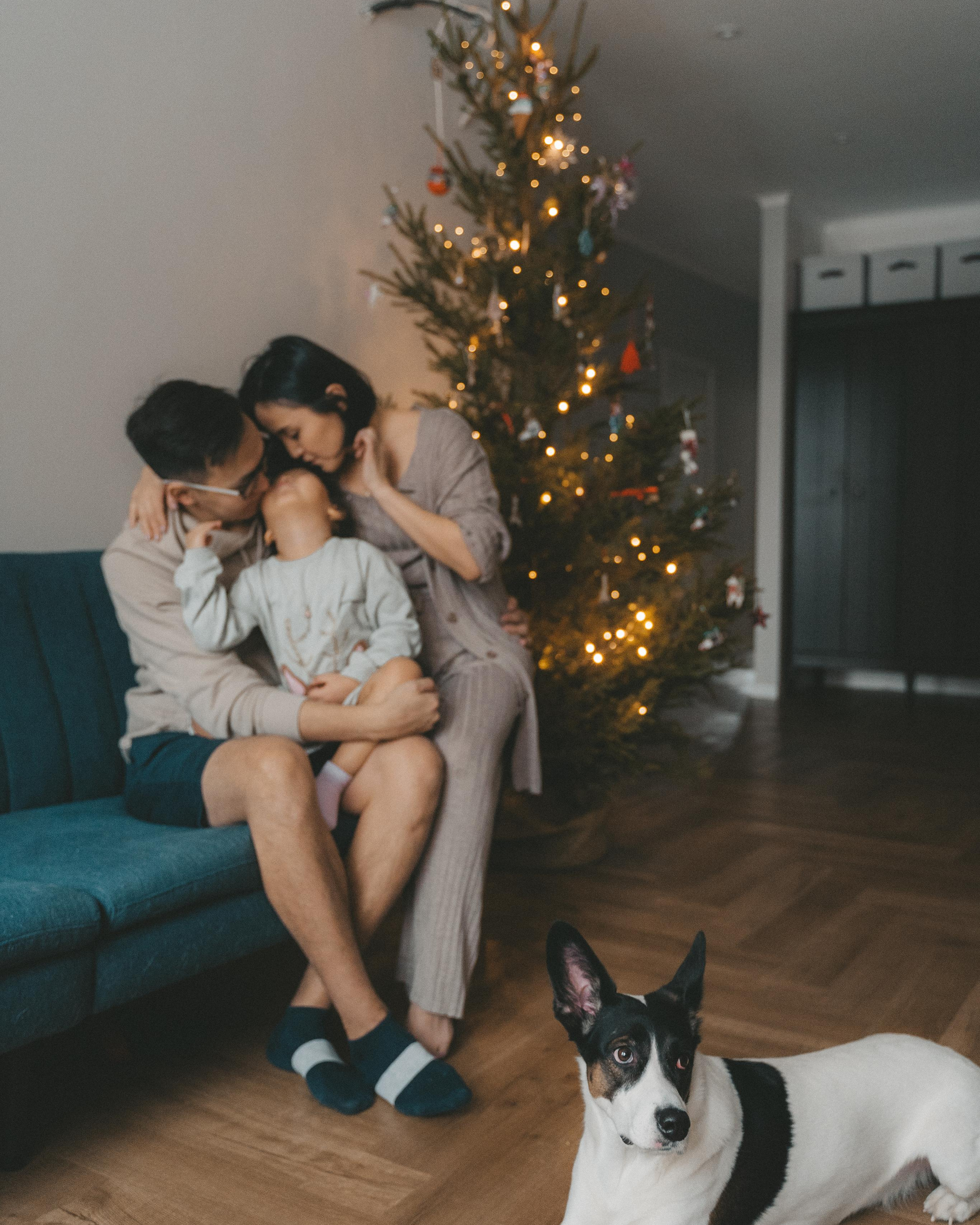 Домашняя новогодняя история у Анны. 2022