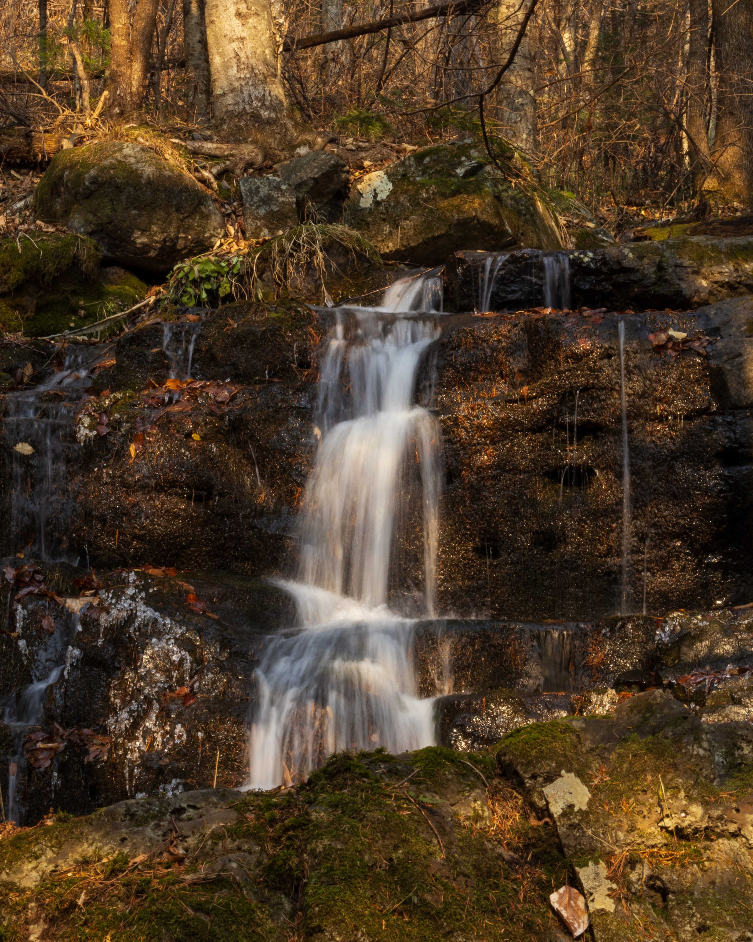 Маруськины слёзы