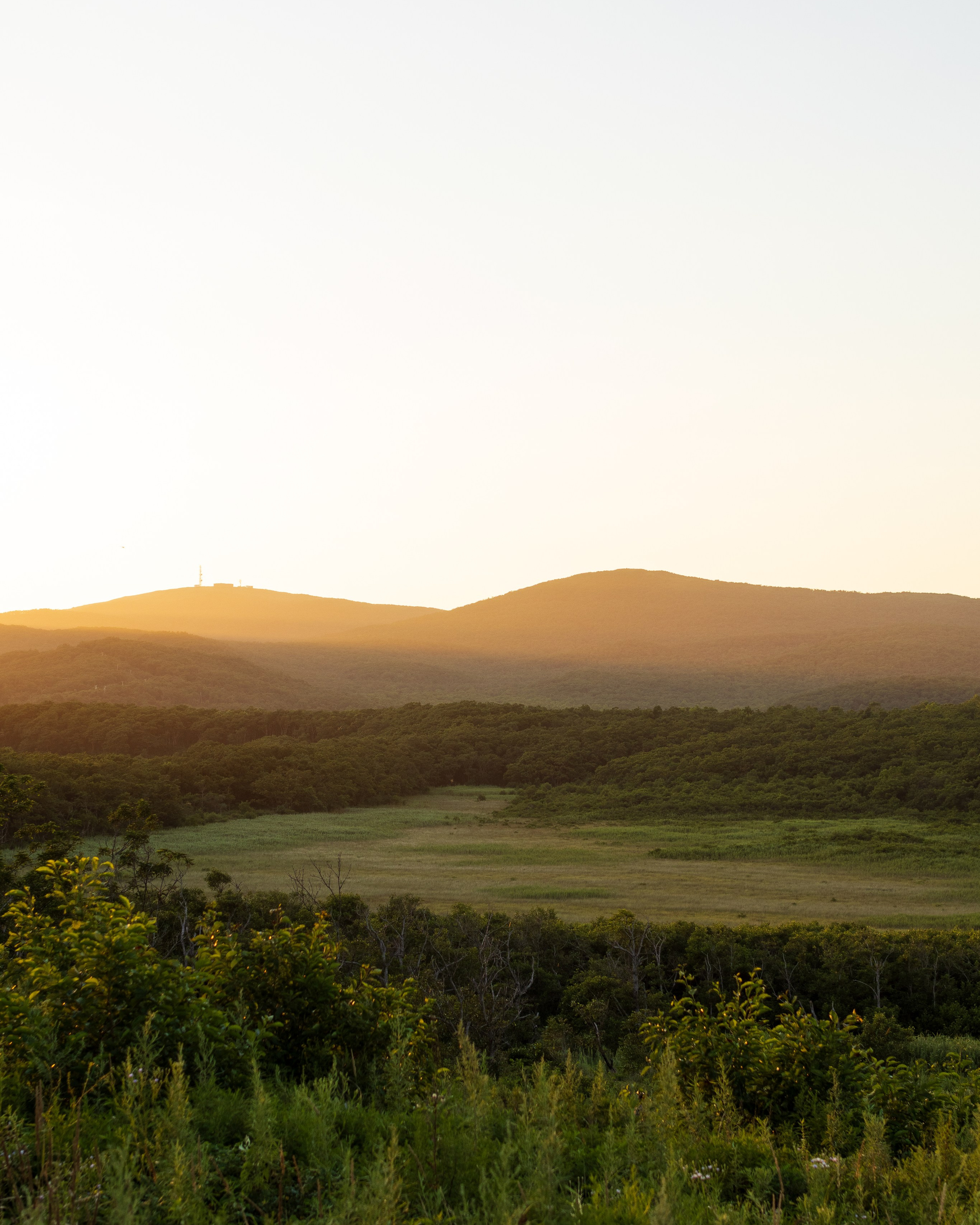 Летний вечер