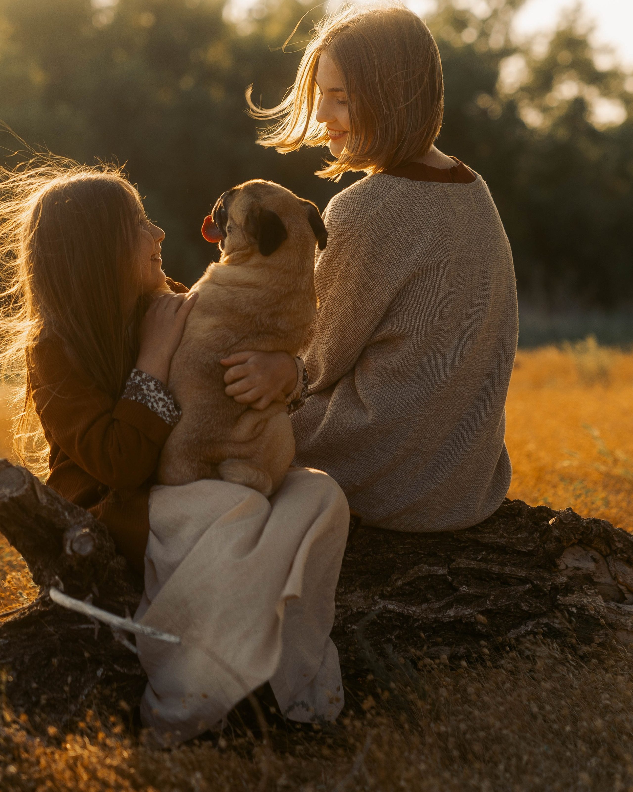 Старшая сестра