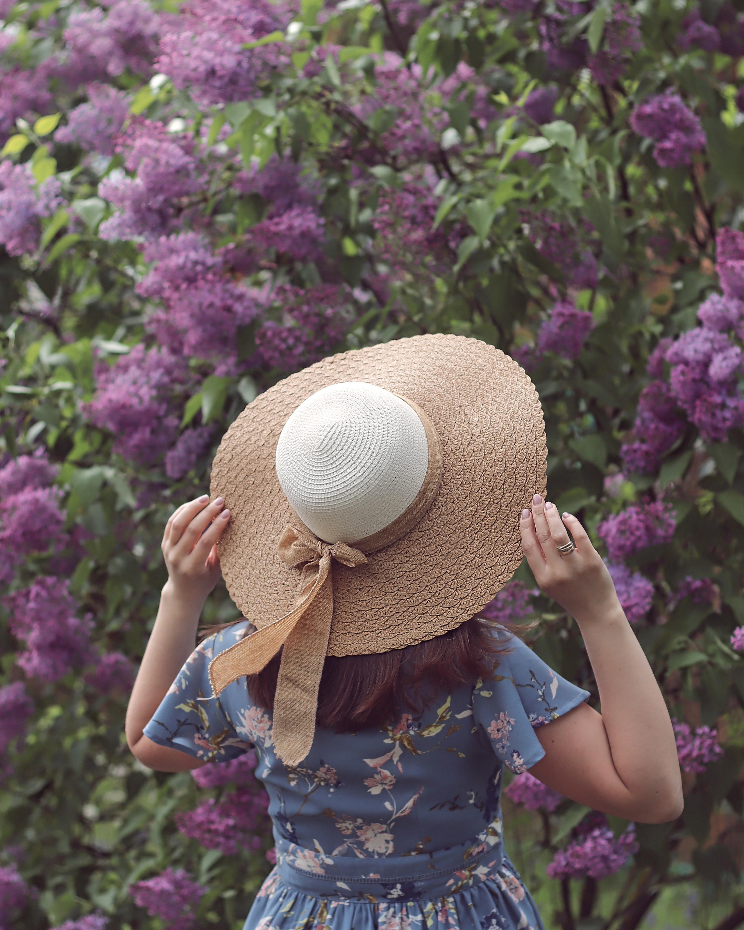 Цветущая весна