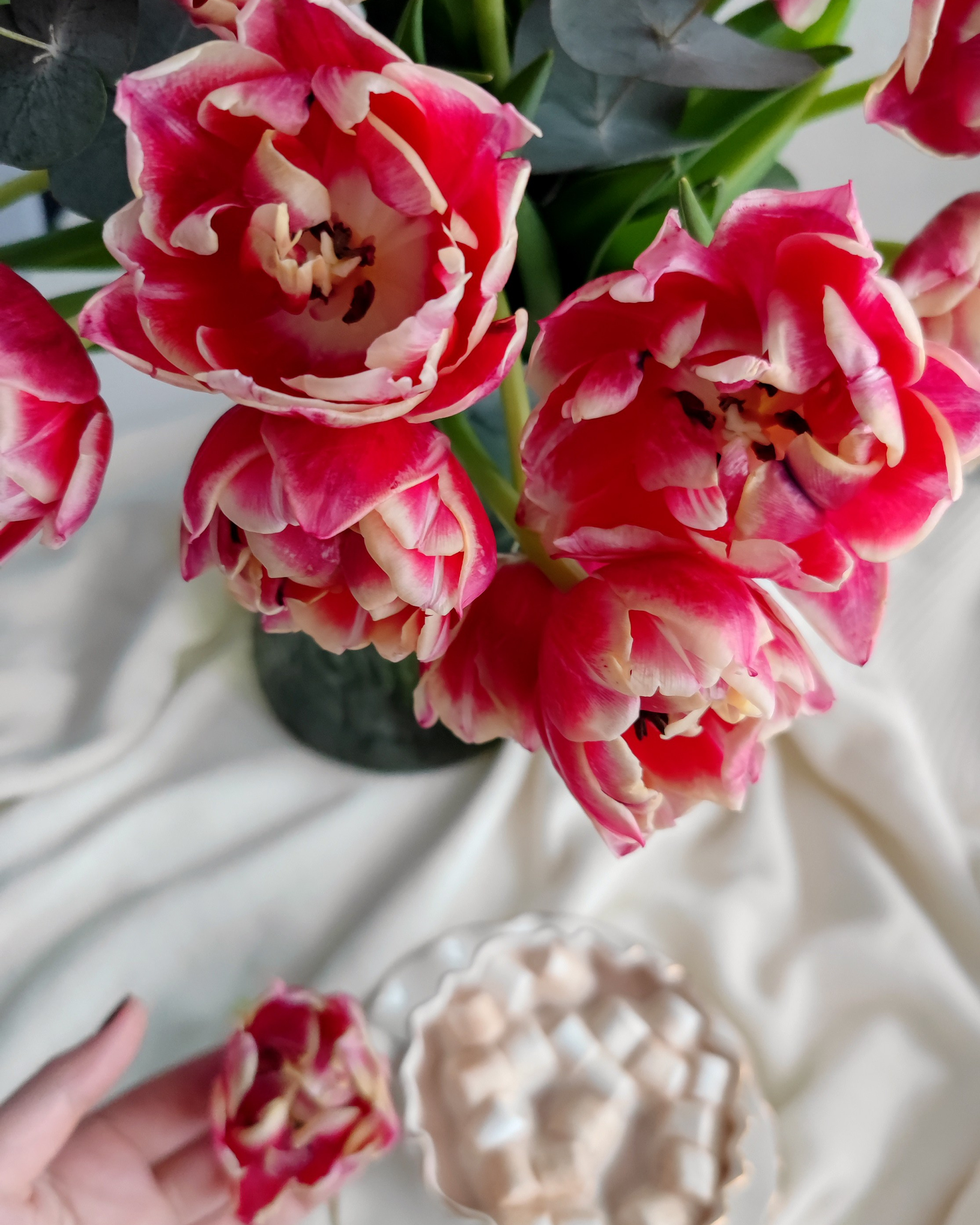 Предметная съемка и натюрморты