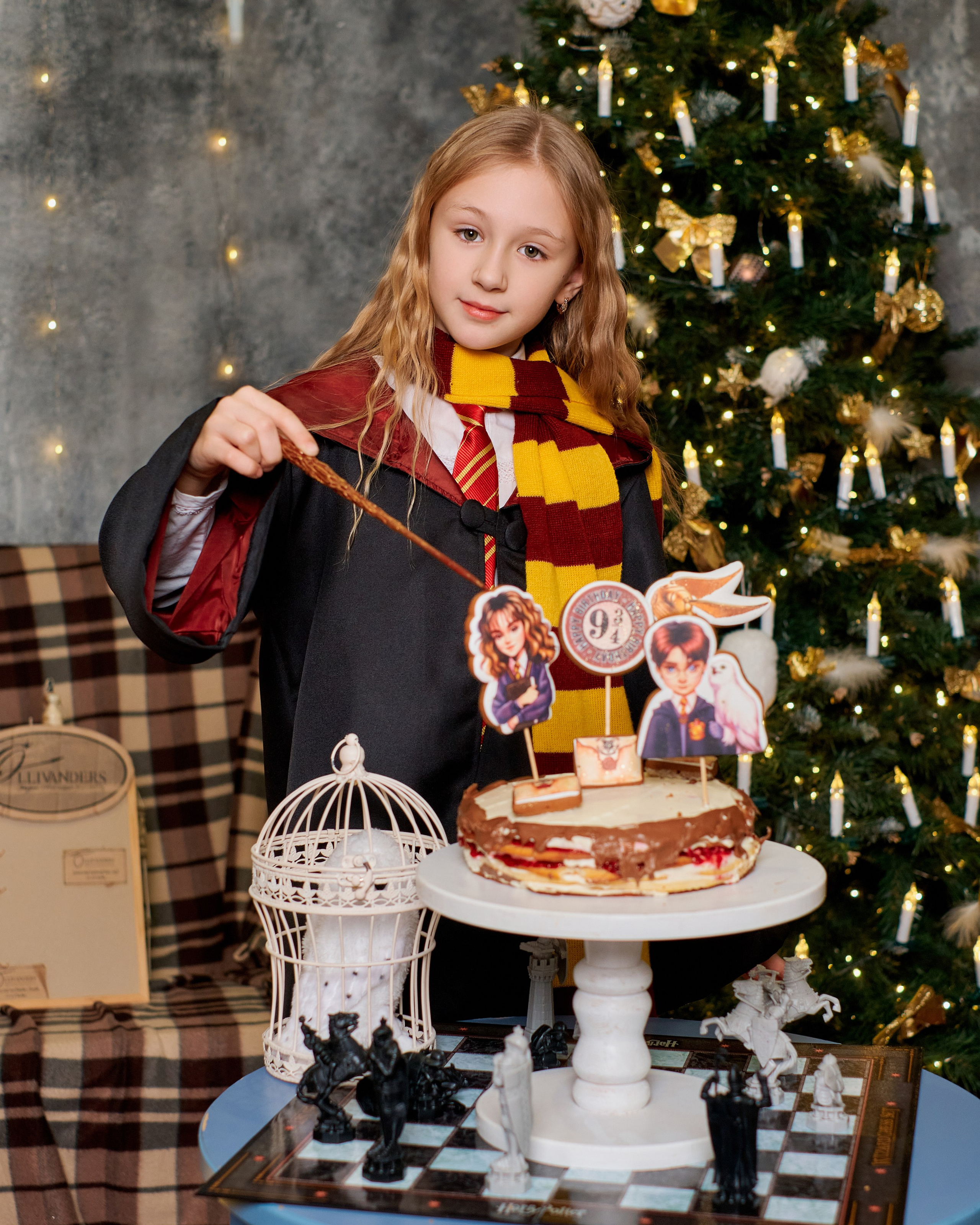 День рождения стиле Гарри Поттер