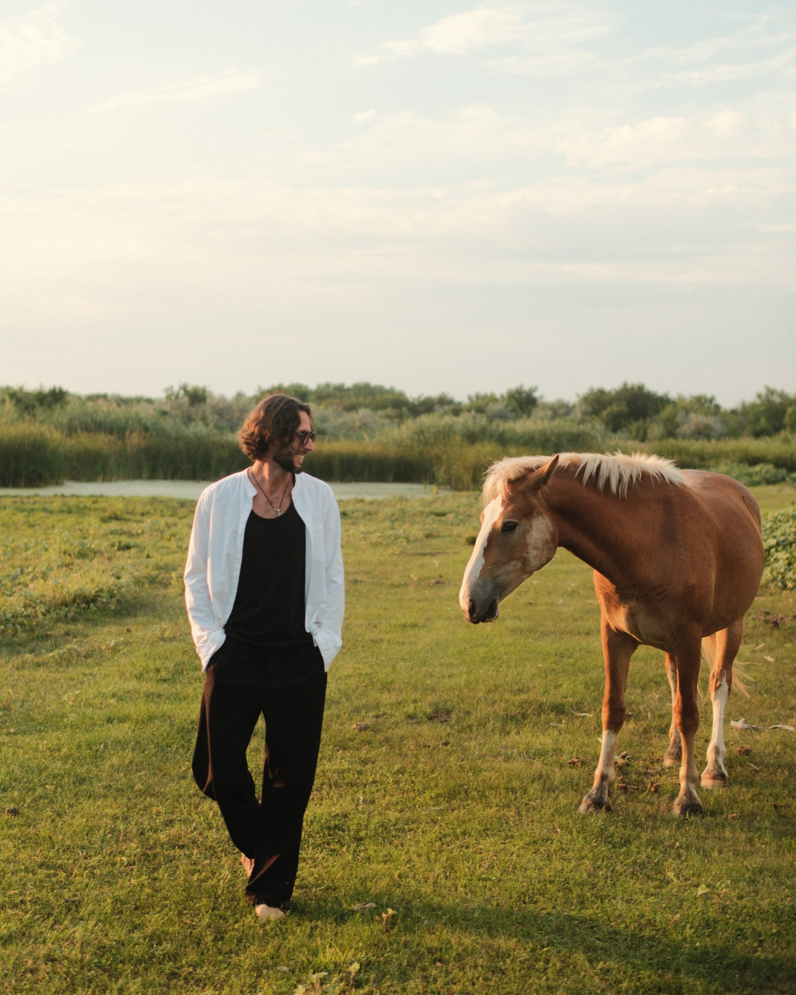 В поле с конём