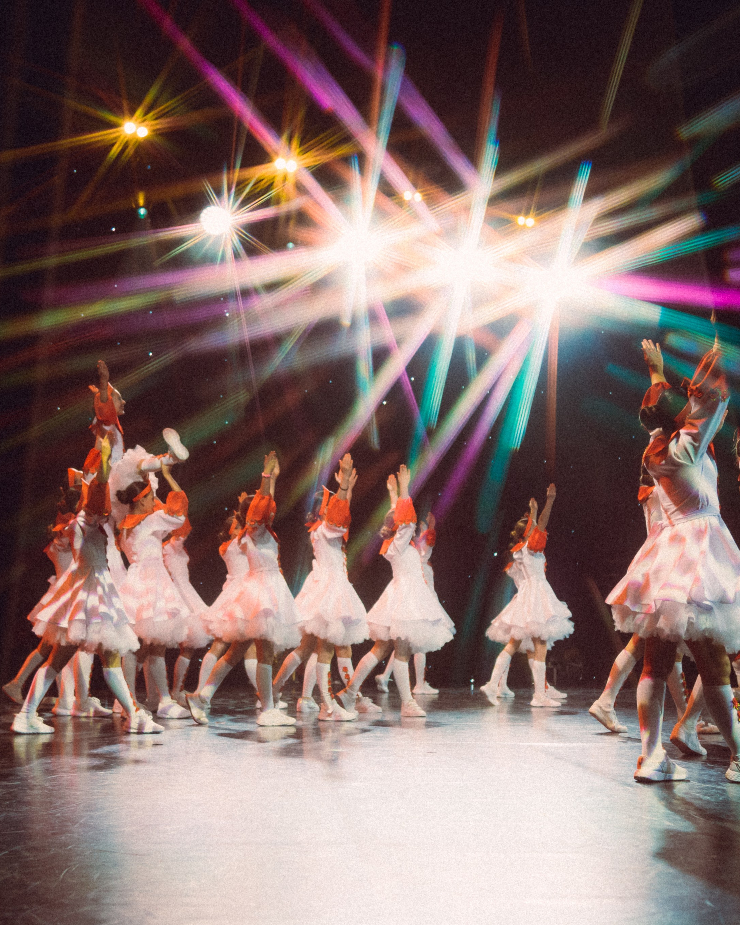 Отчётные концерты TODES