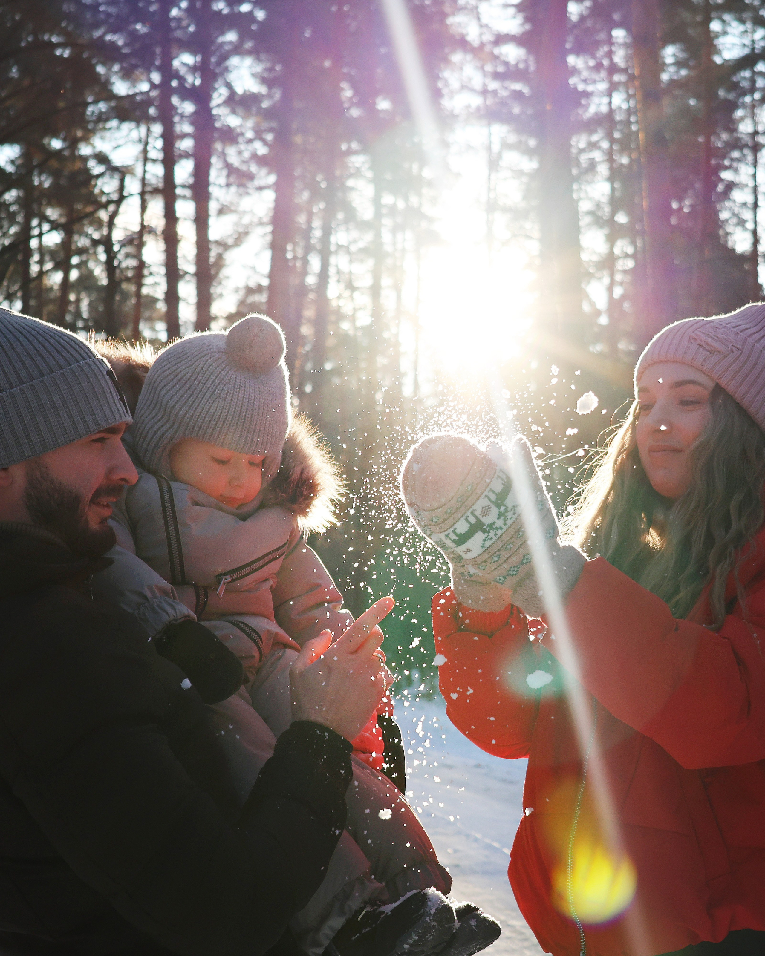 the Novikov family