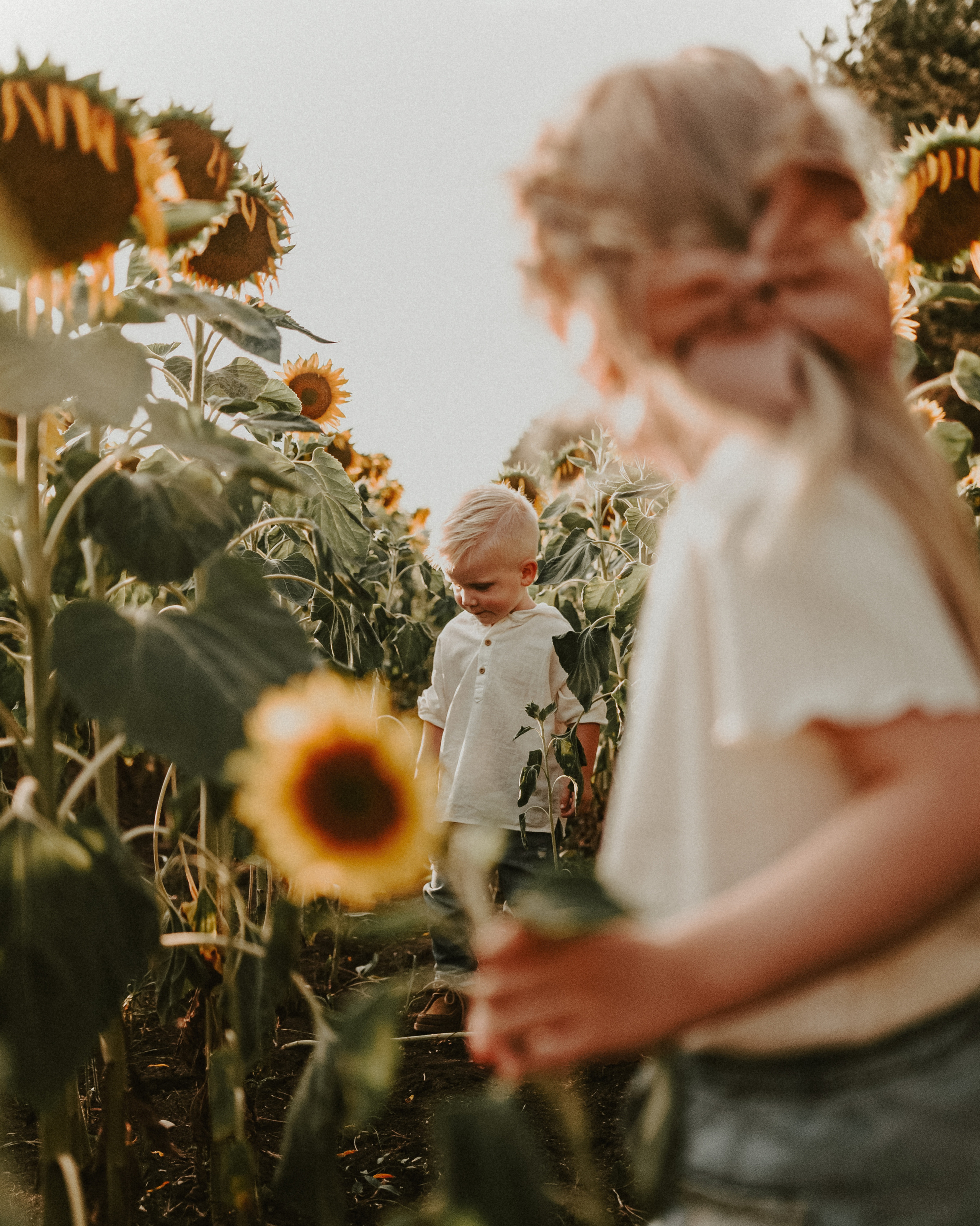 ПОД СОЛНЦЕМ