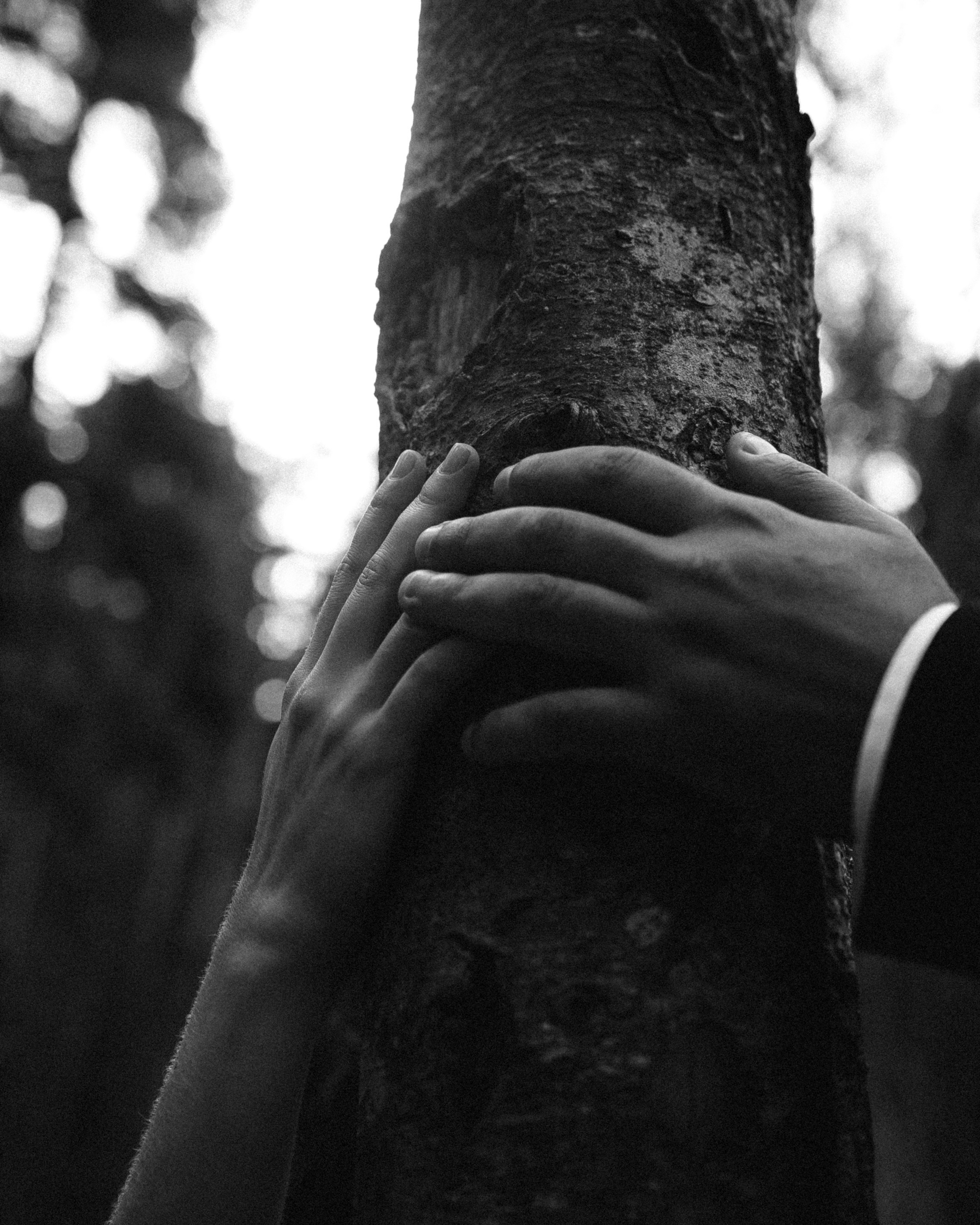 ЕДИНСТВО СЕРДЕЦ