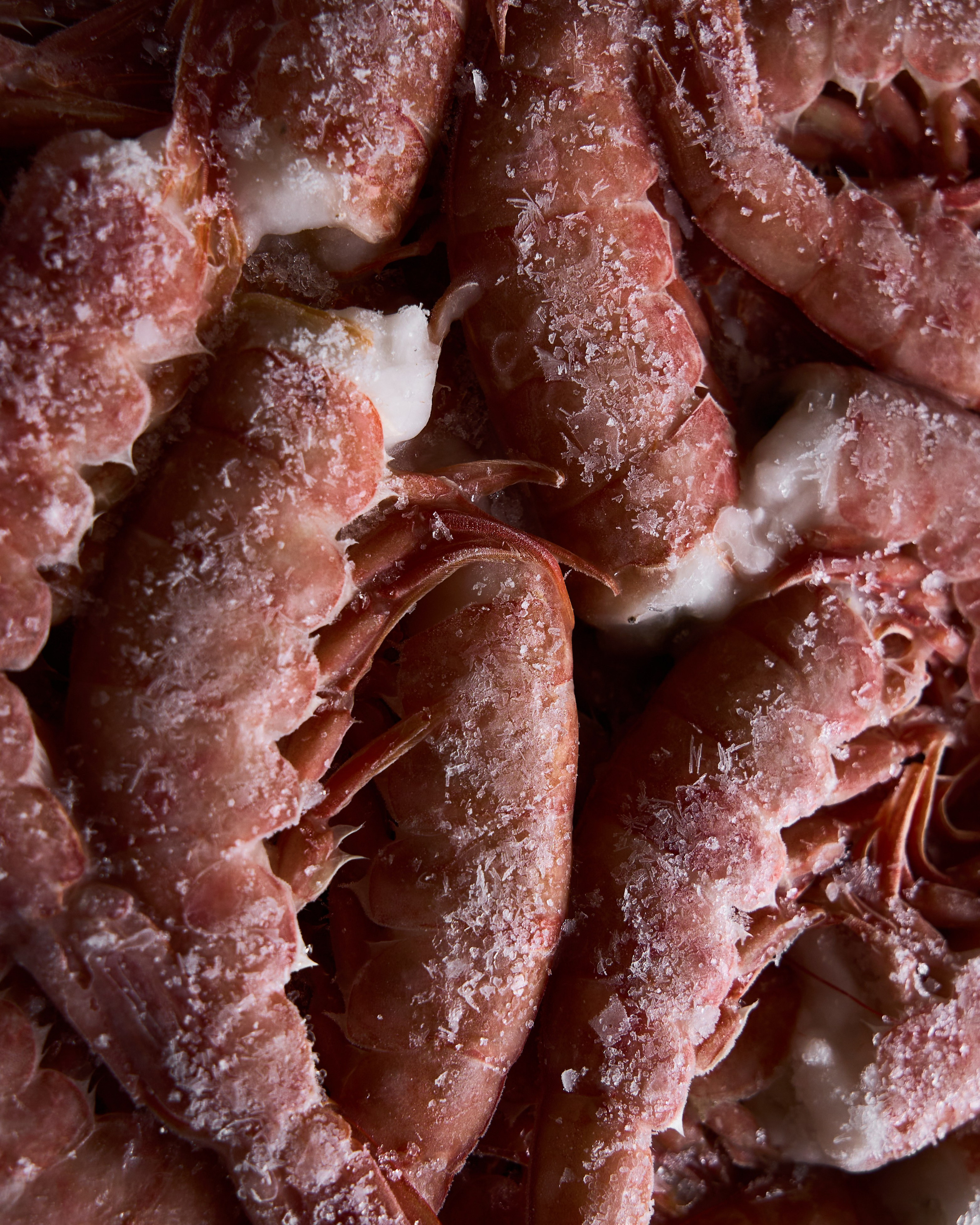 Русская Рыбная Компания (РРК) — каталог продукции