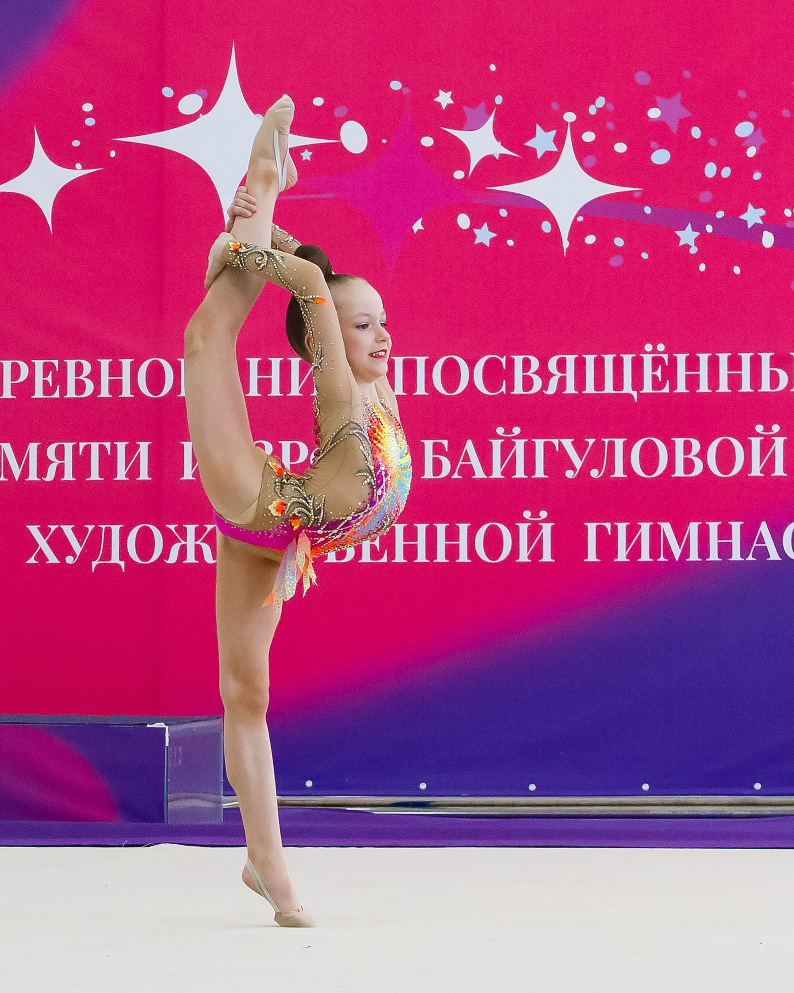 ХУДОЖЕСТВЕННАЯ ГИМНАСТИКА