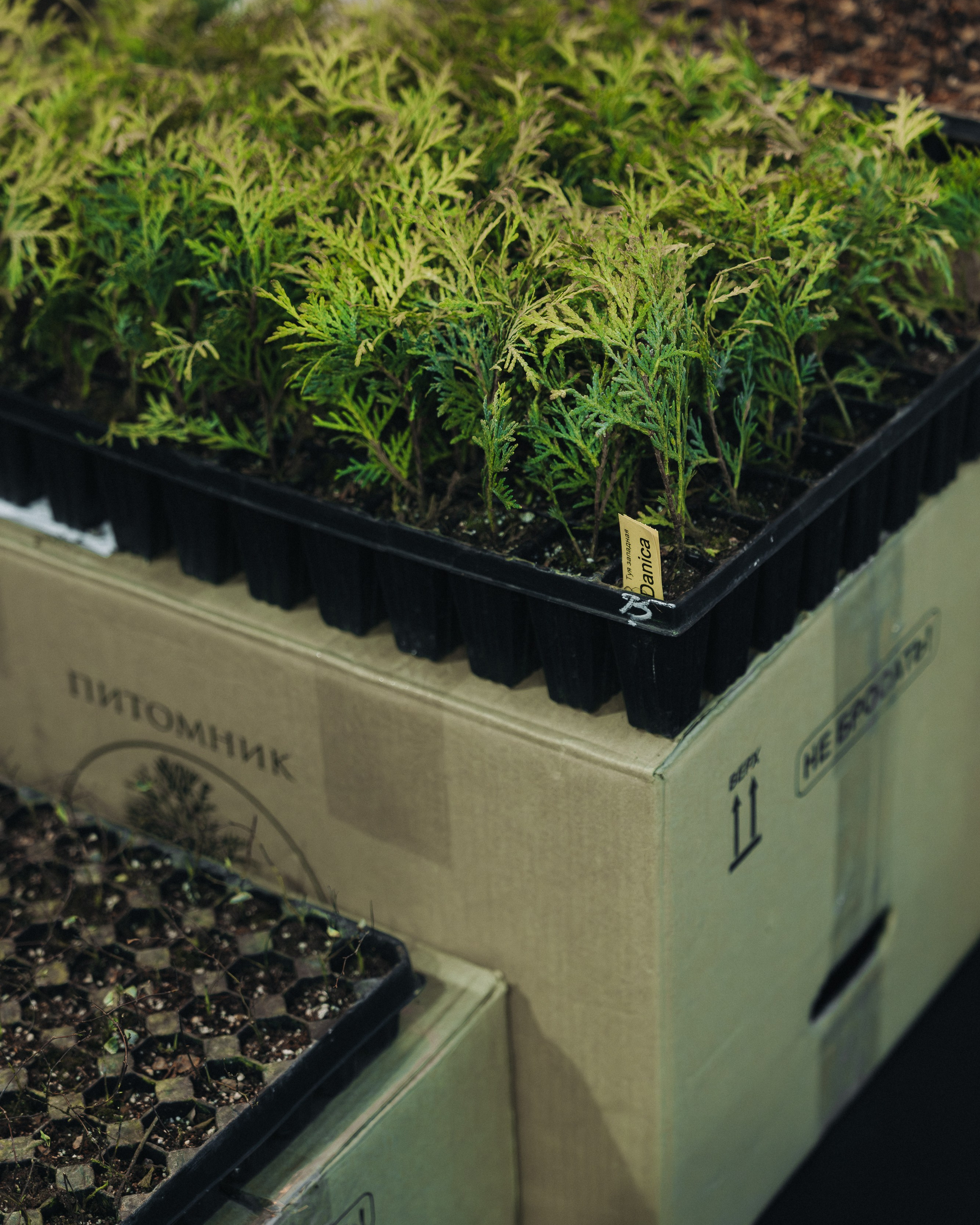 Съезд черноземья 2026 (ГРАД)