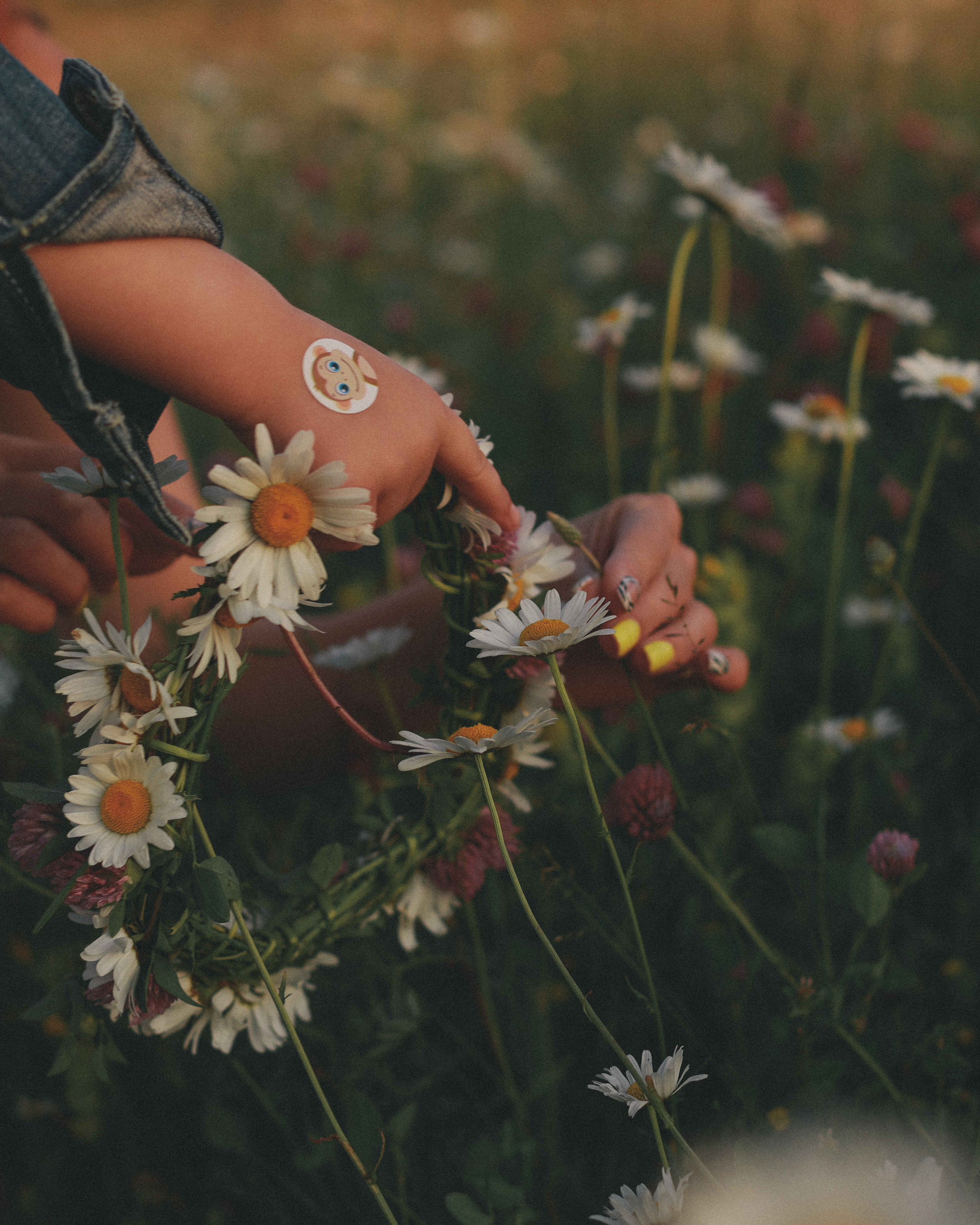 Согреты любовью и вечерним солнышком. Чудесная семья с открытой и чистой душой