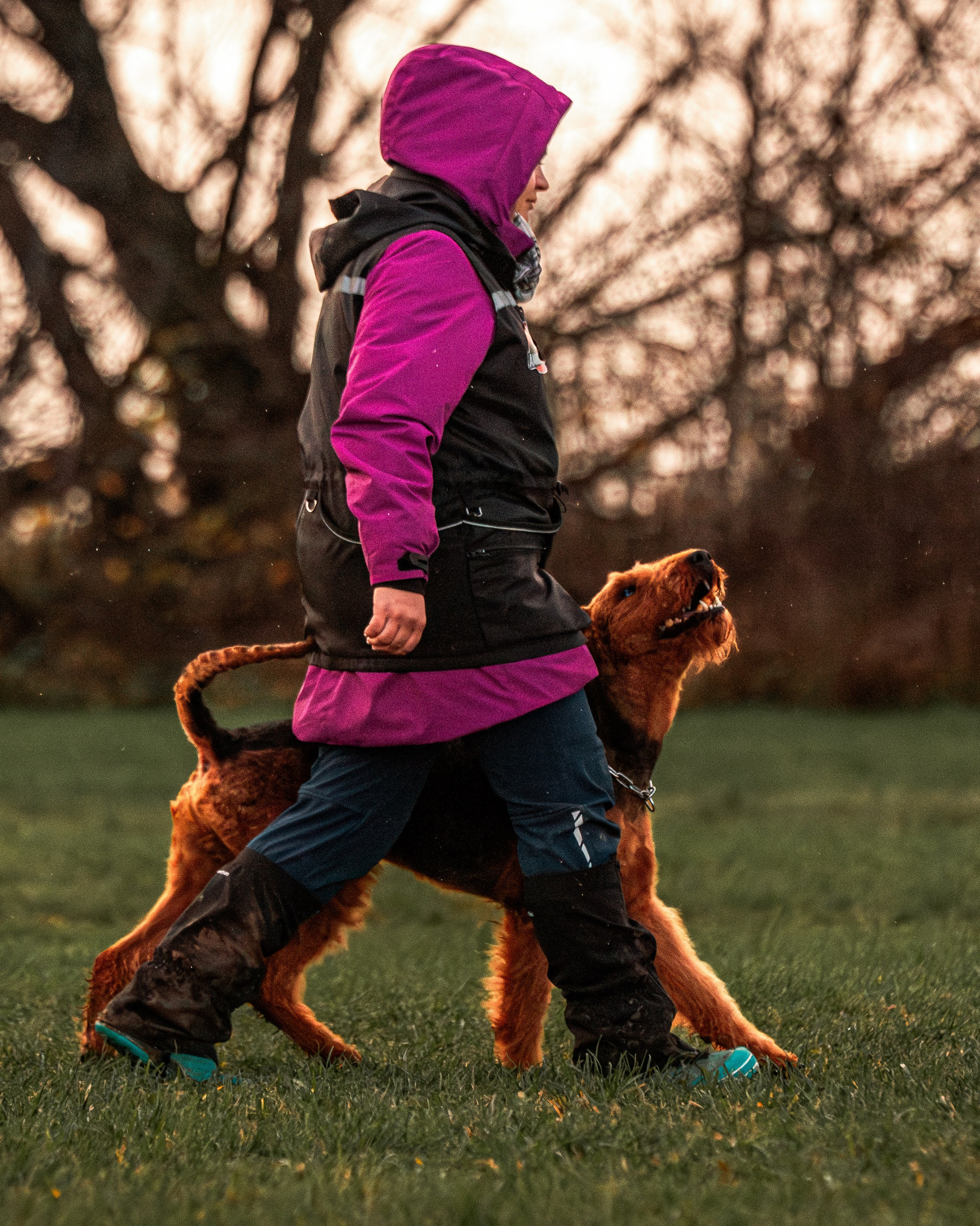 МЫ&nbsp;— КОМАНДА (соревнования) OKD, BH, IBGH, IGP