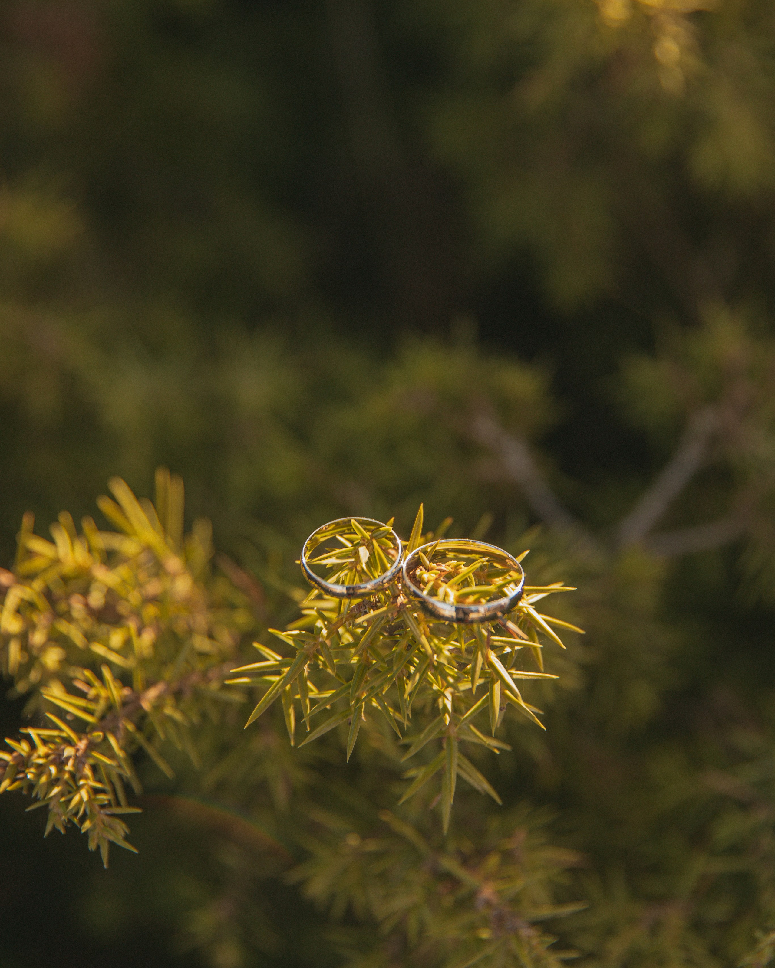 прогулка на&nbsp;400 ступеней