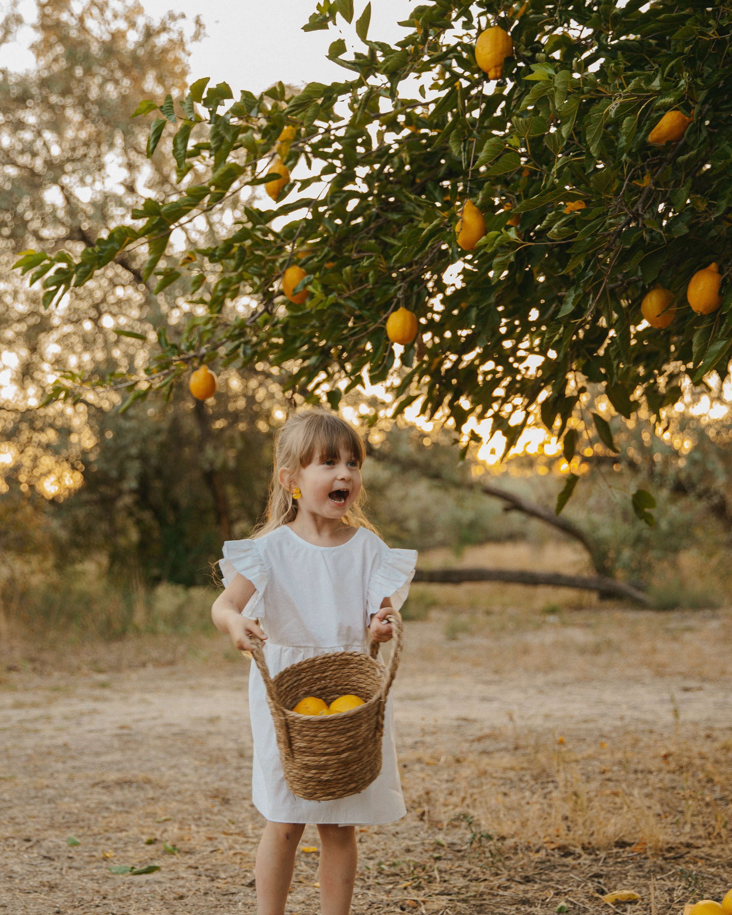 фотопроект с&nbsp;лимонами