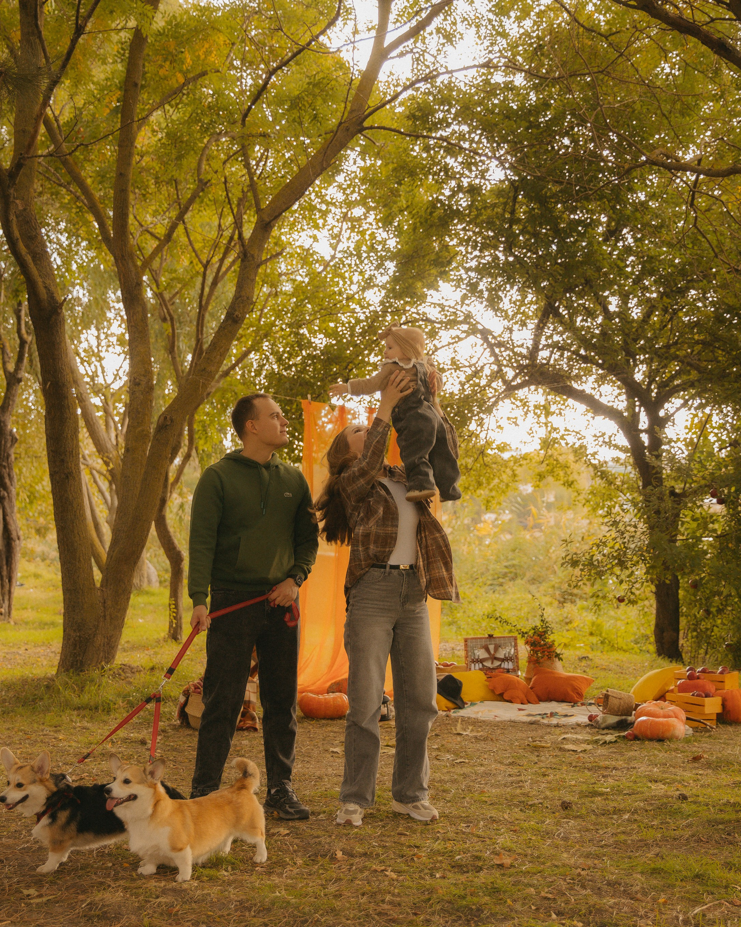 фотопроект с&nbsp;корги