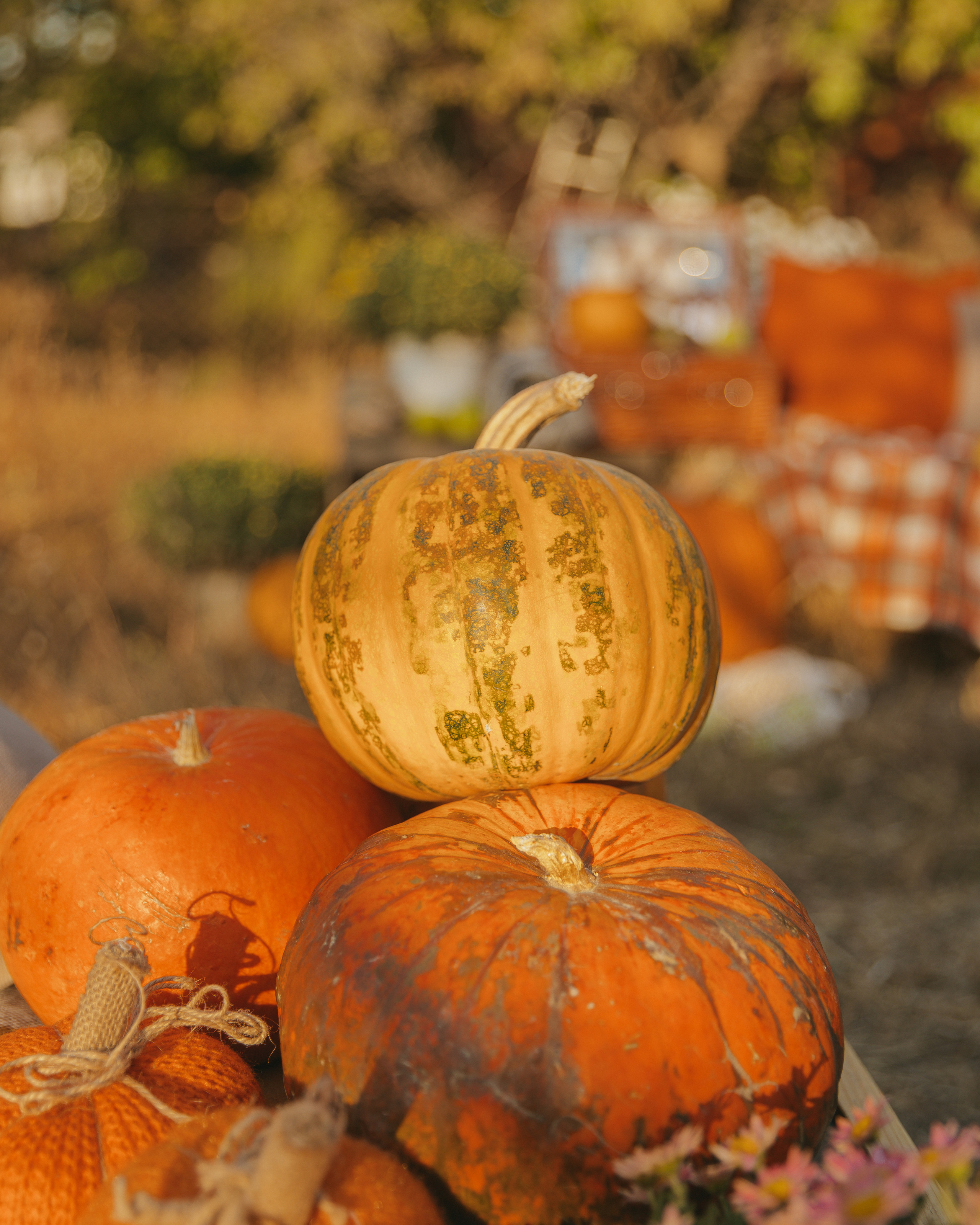 Фотодень ''Золотая осень'' 22 октября