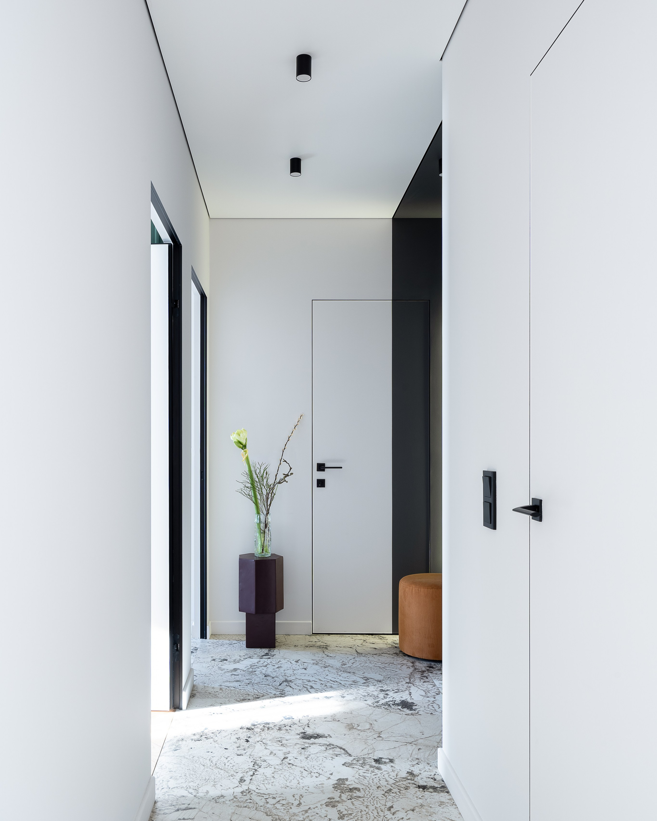 Шереметьевский