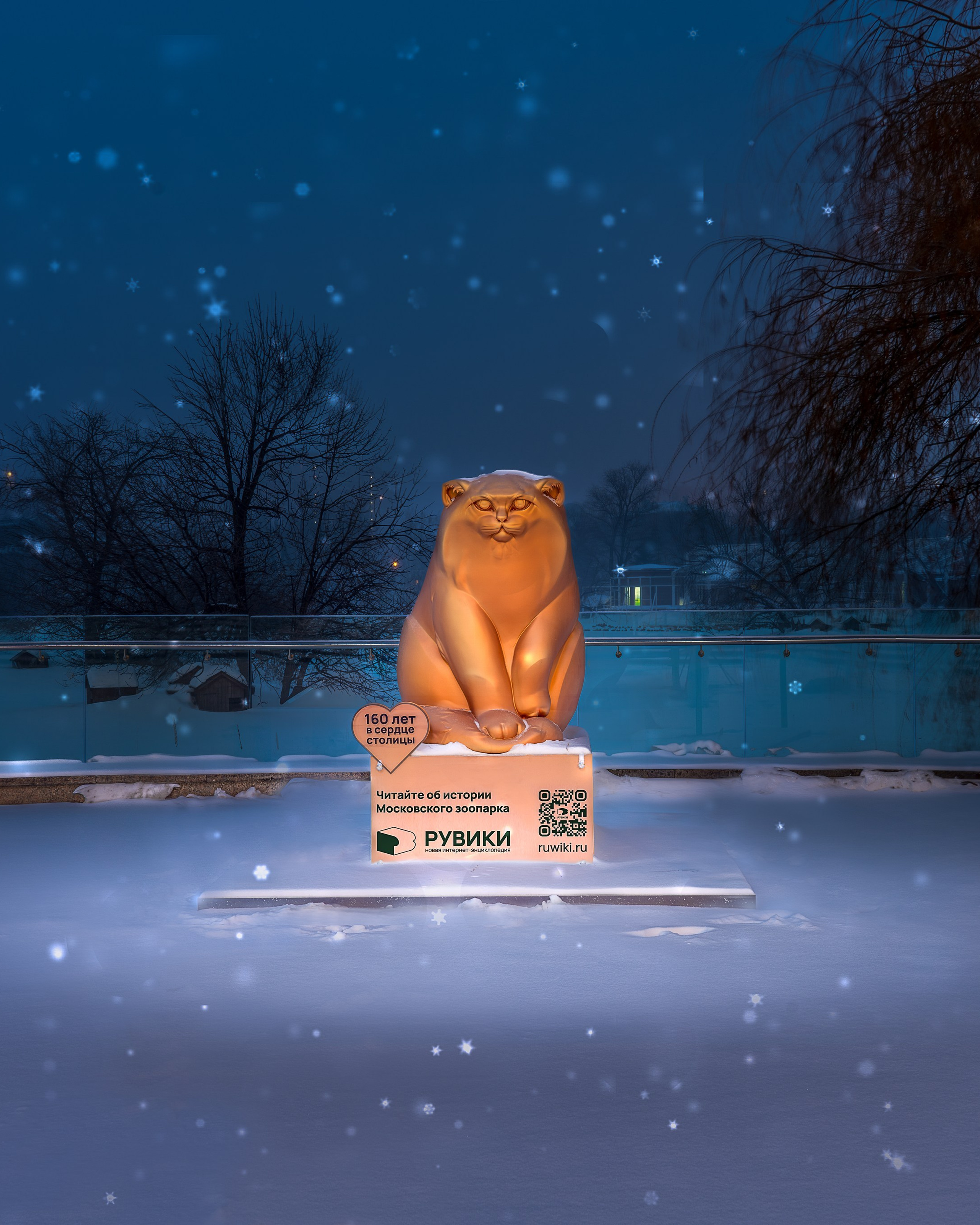 Манул/ Московский зоопарк