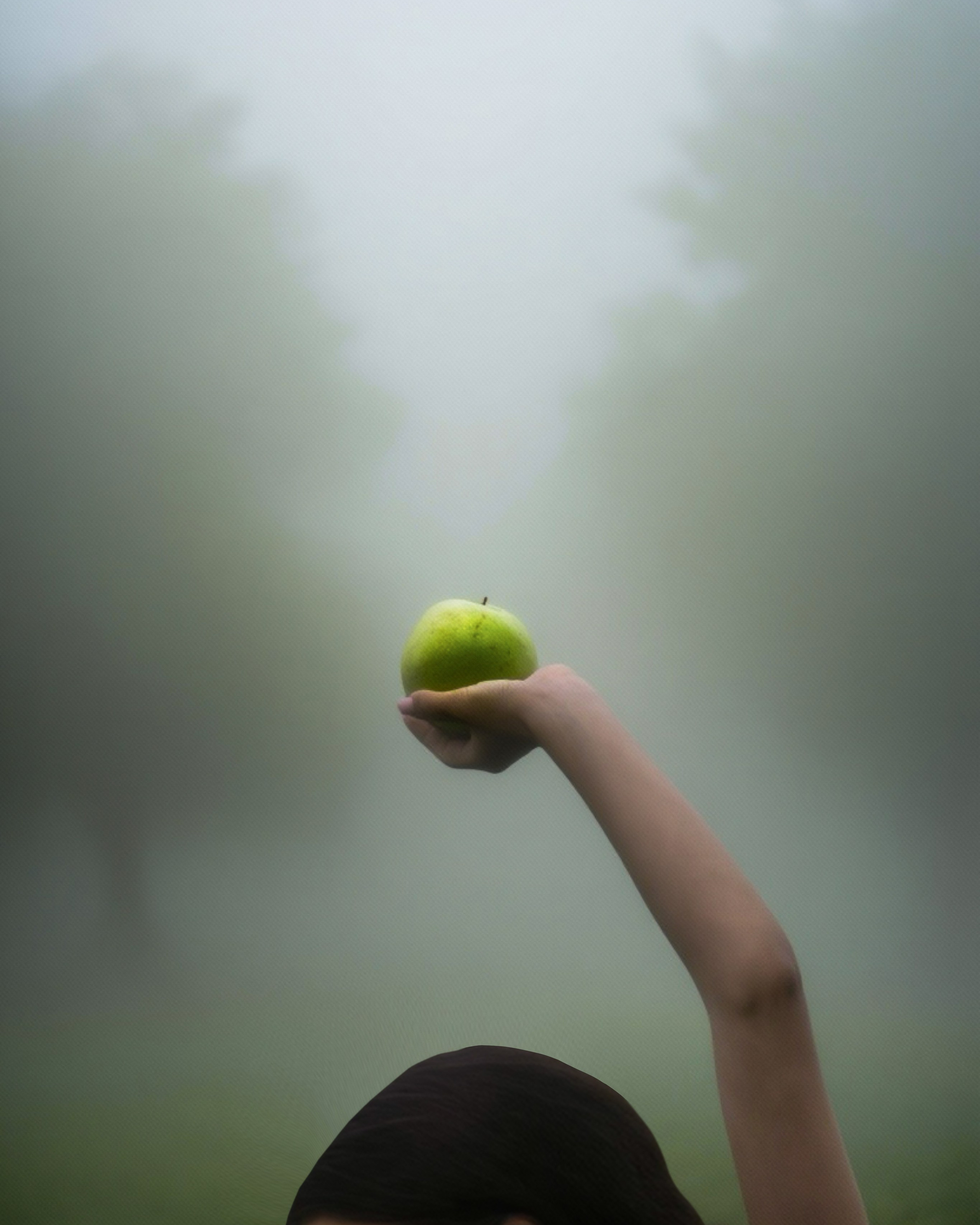 Прекраснейшей