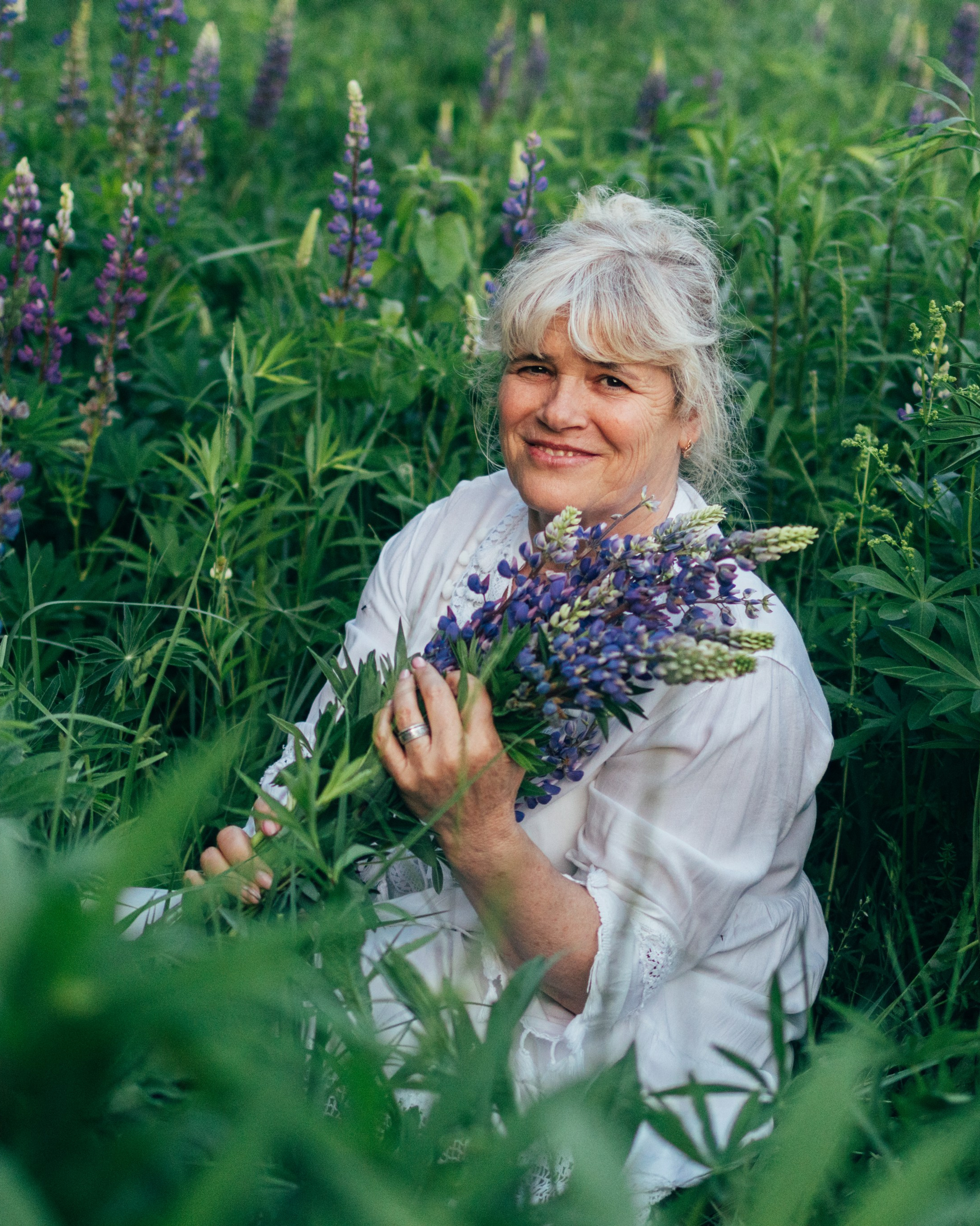 Вероника и люпины