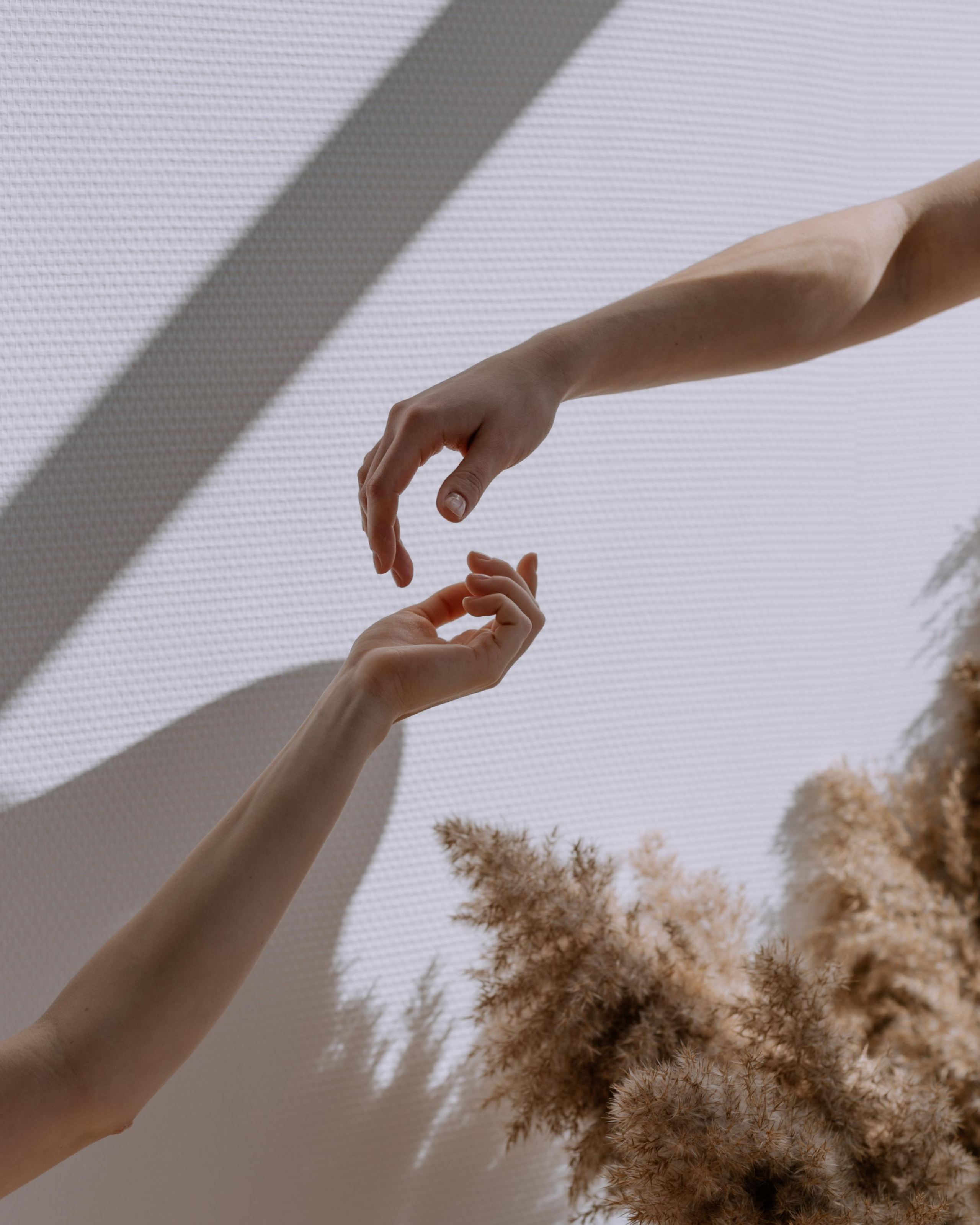 Reset.fit.pro (контент)