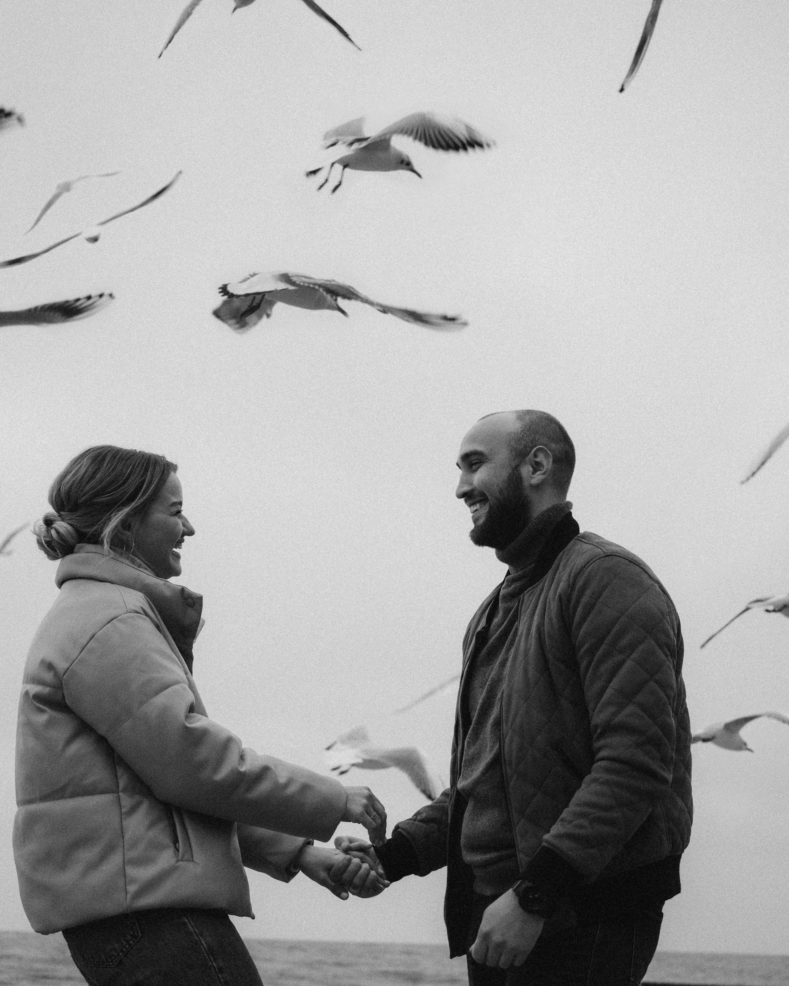 Чайки любят курочку