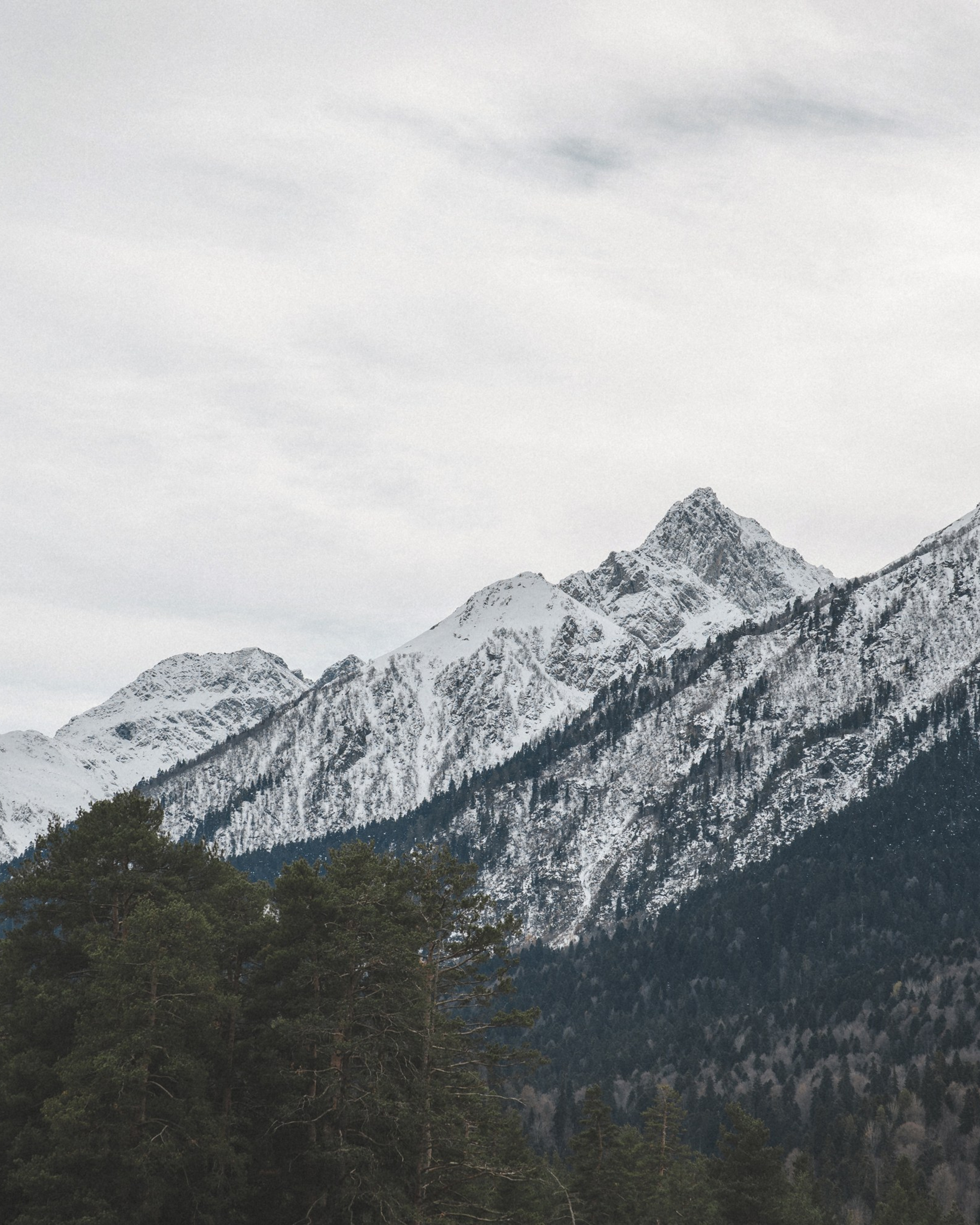 Осенние каникулы