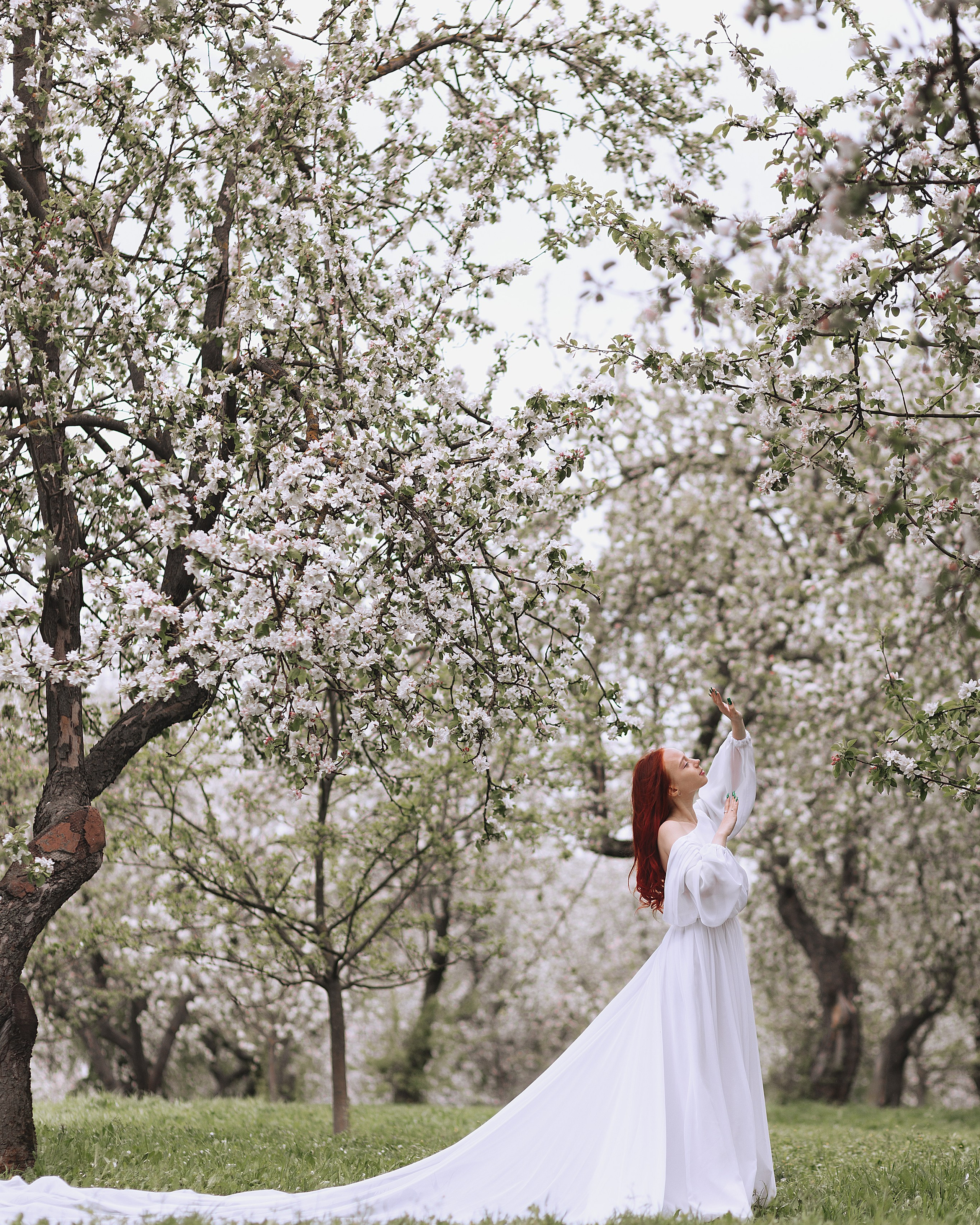 Цветущие облака