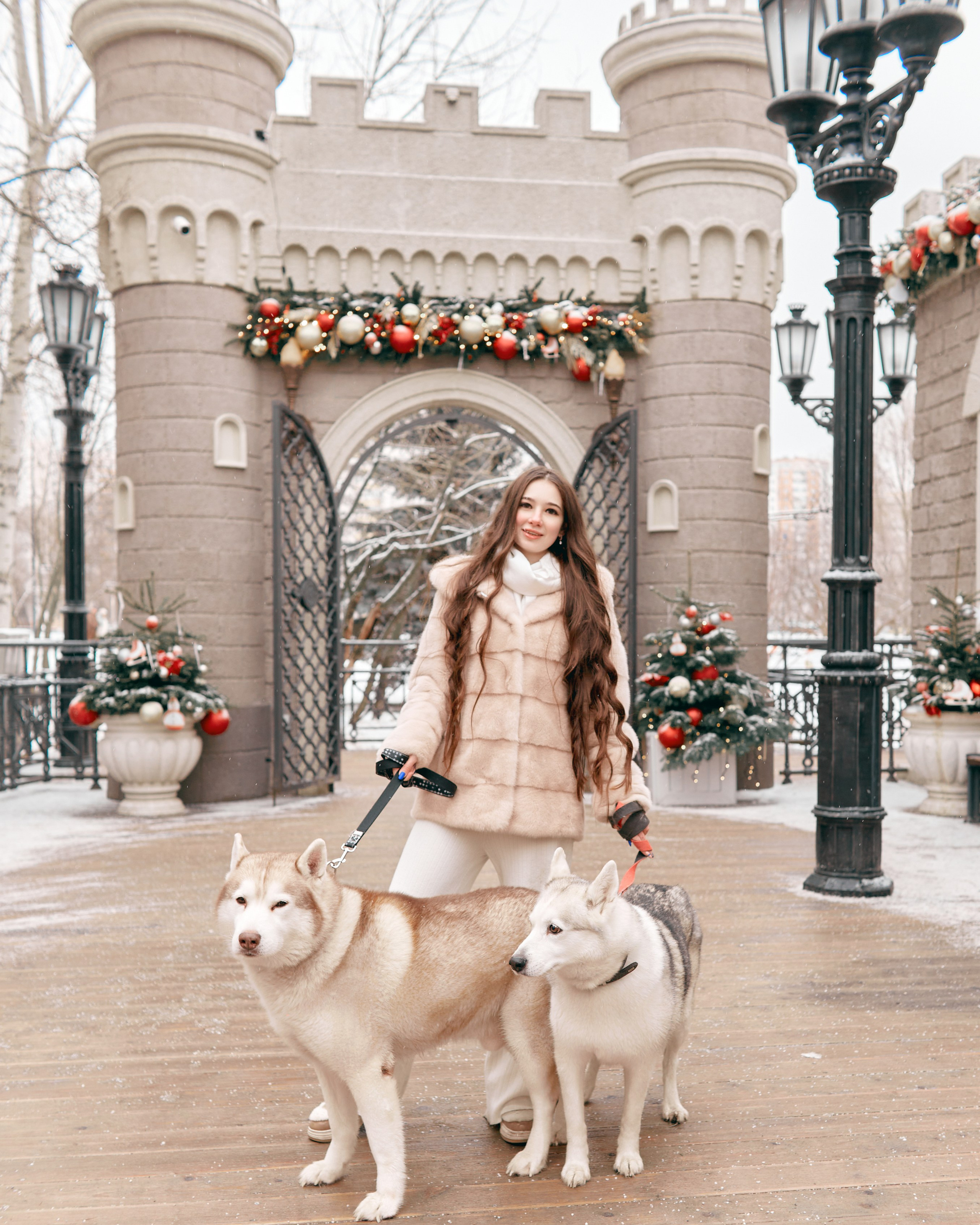 Прогулочная фотосессия с хаски