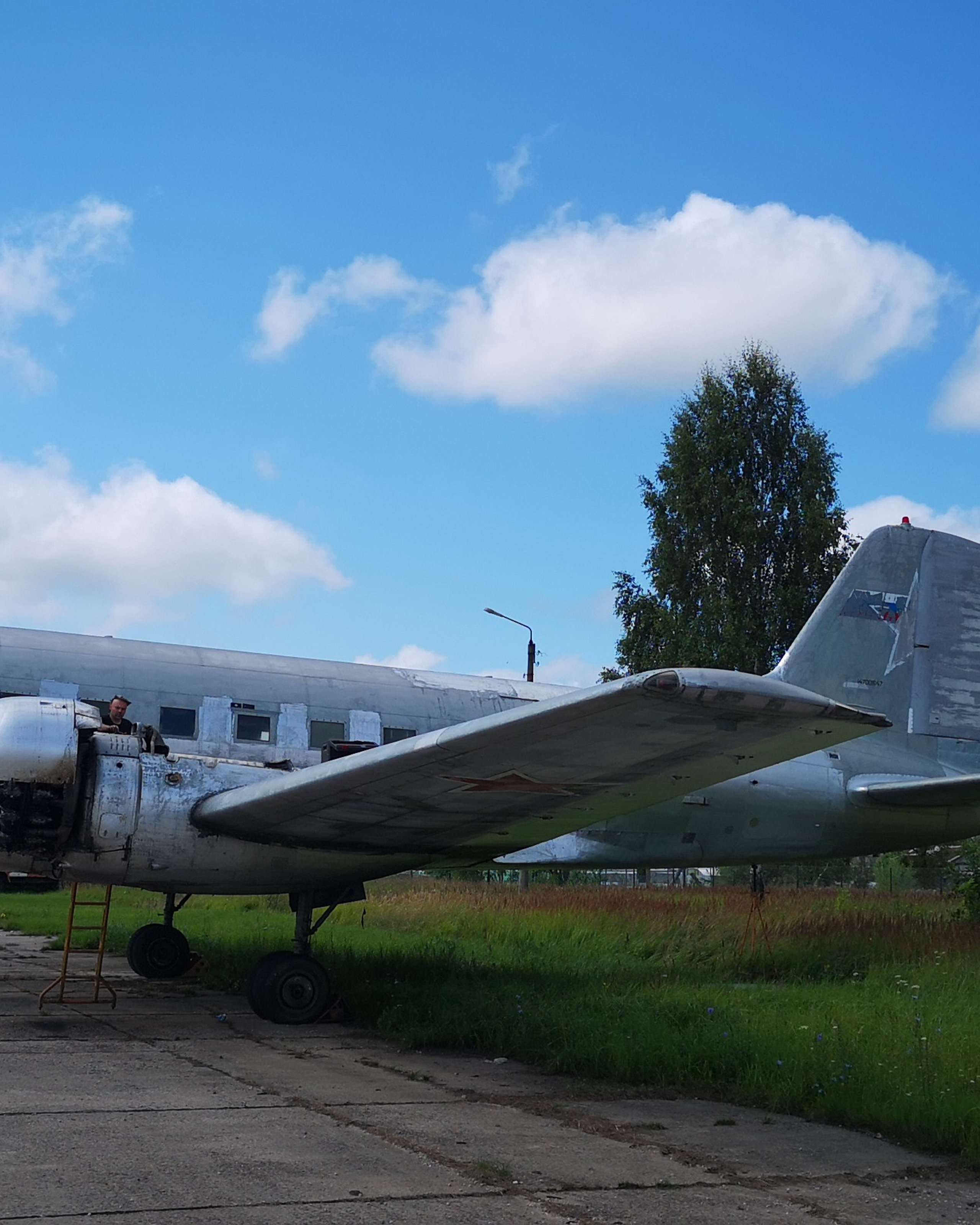 Ил-14Т «Голубая Мечта» (2019&nbsp;г.)