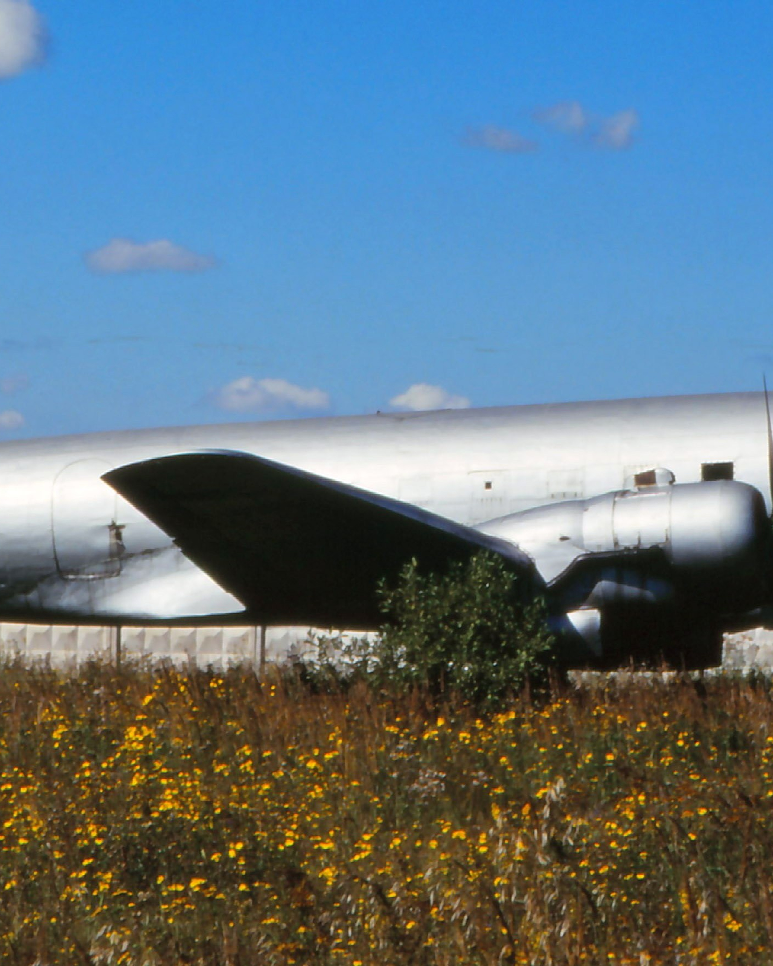 Ил-12 (Монино)