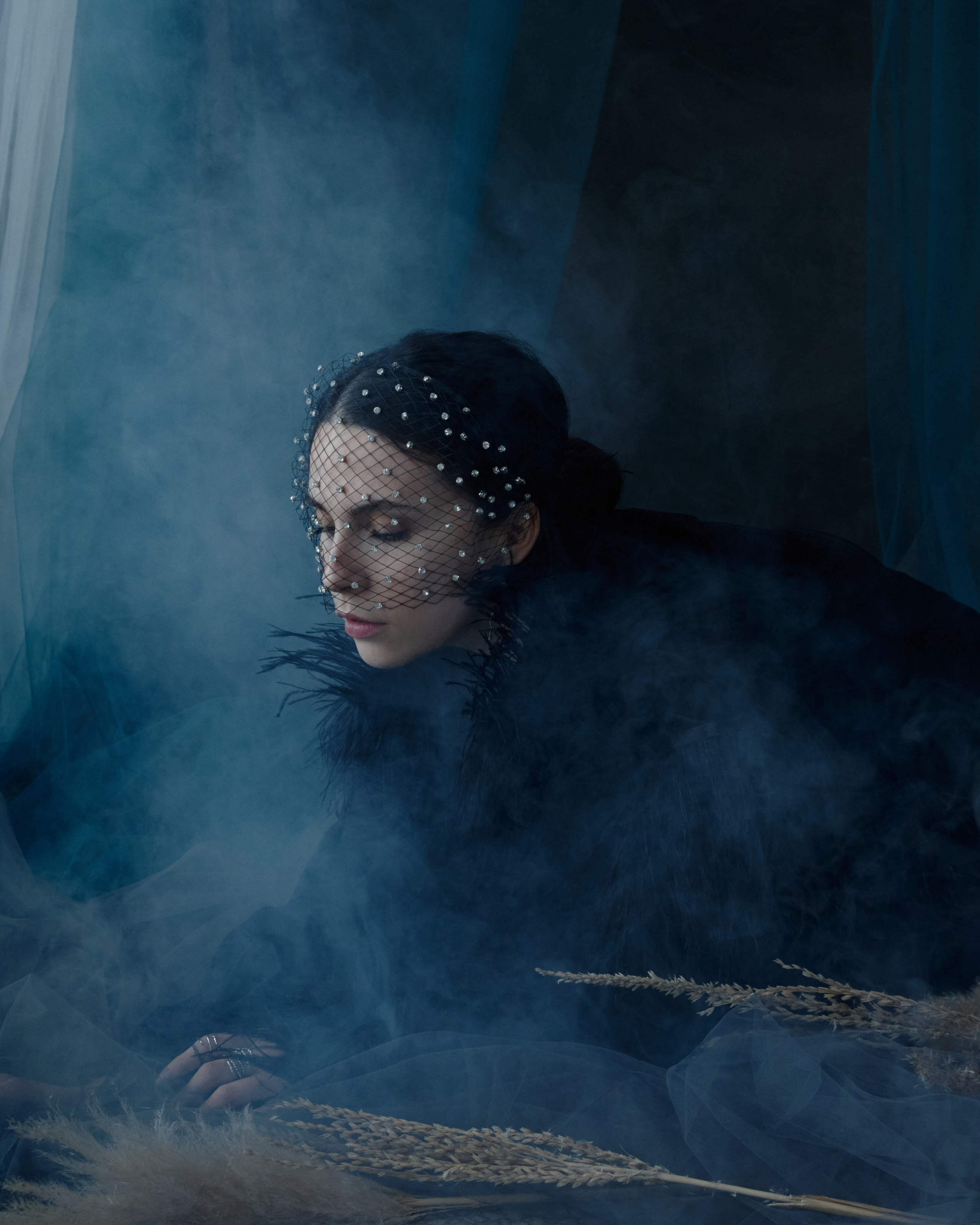 Райская птица